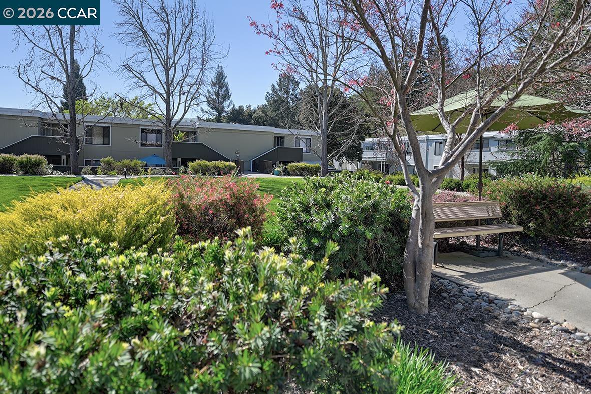 Detail Gallery Image 38 of 51 For 2001 Oakmont Way #6,  Walnut Creek,  CA 94595 - 2 Beds | 1 Baths