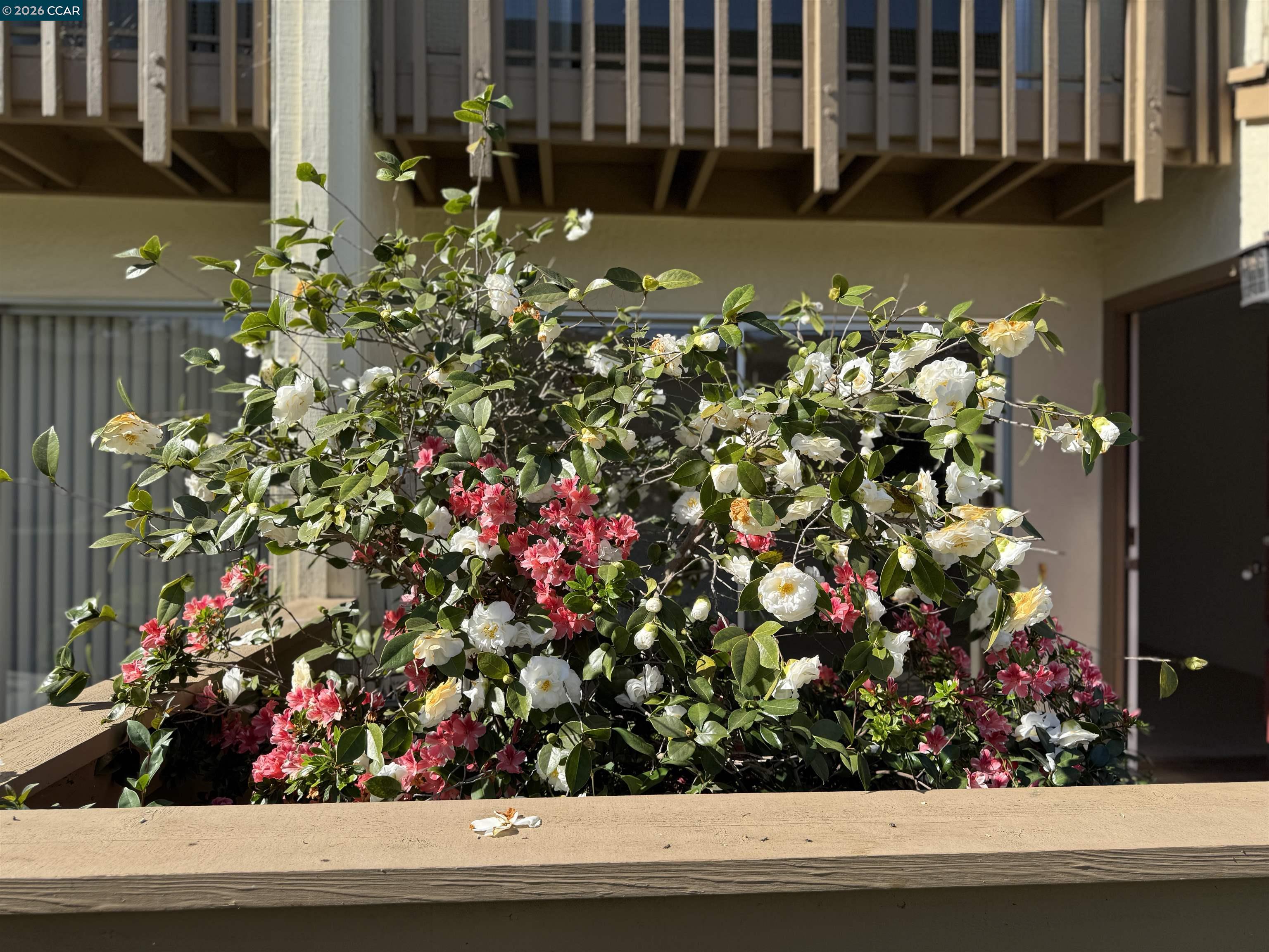 Photo #26: 41127450 Listing: Photo #26