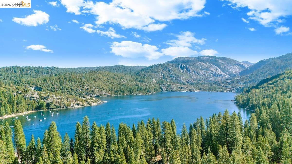 Detail Gallery Image 31 of 34 For 311 Fir, Pinecrest,  CA 95370 - 3 Beds | 1 Baths