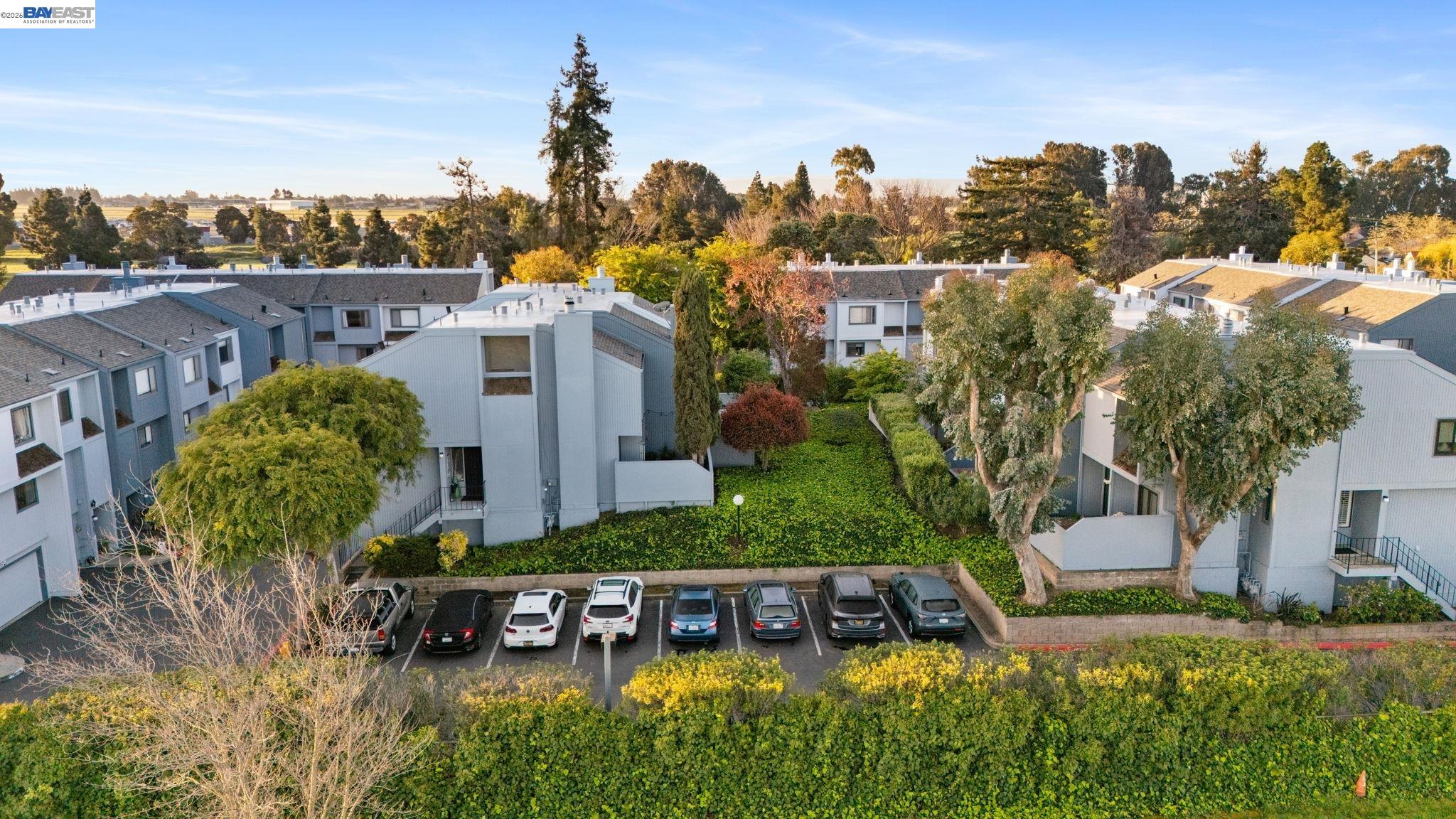 Photo #45: 41127471 Listing: Photo #45