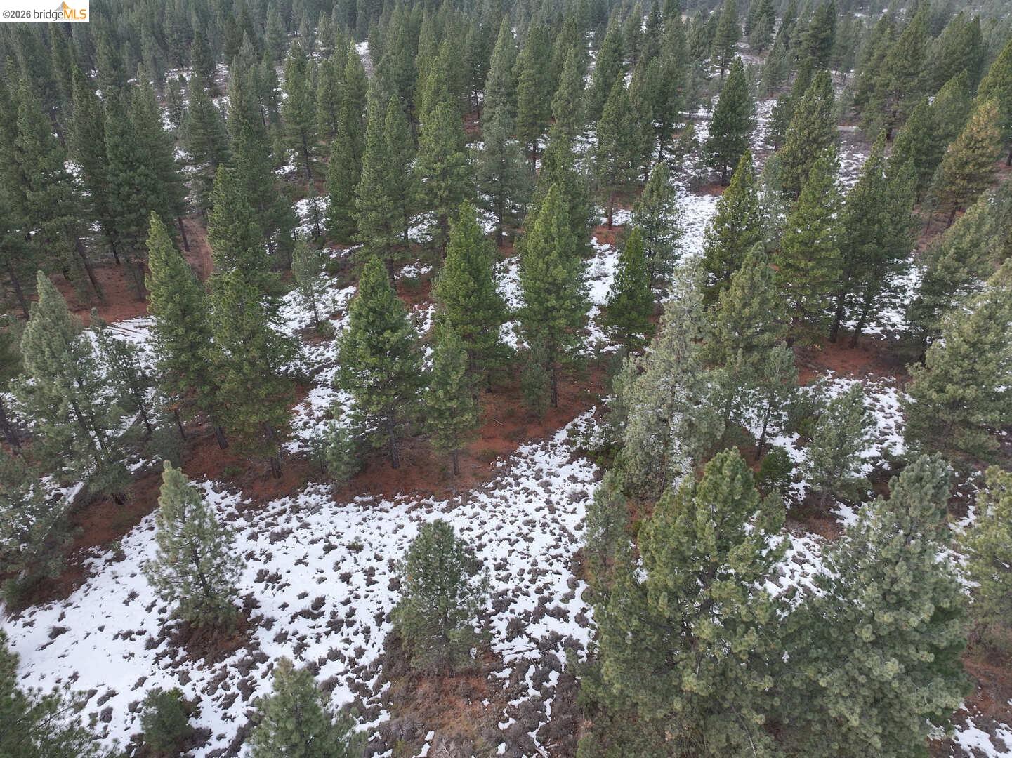 Detail Gallery Image 7 of 10 For 350 Espinal Dr, –,  CA 96122 - – Beds | – Baths