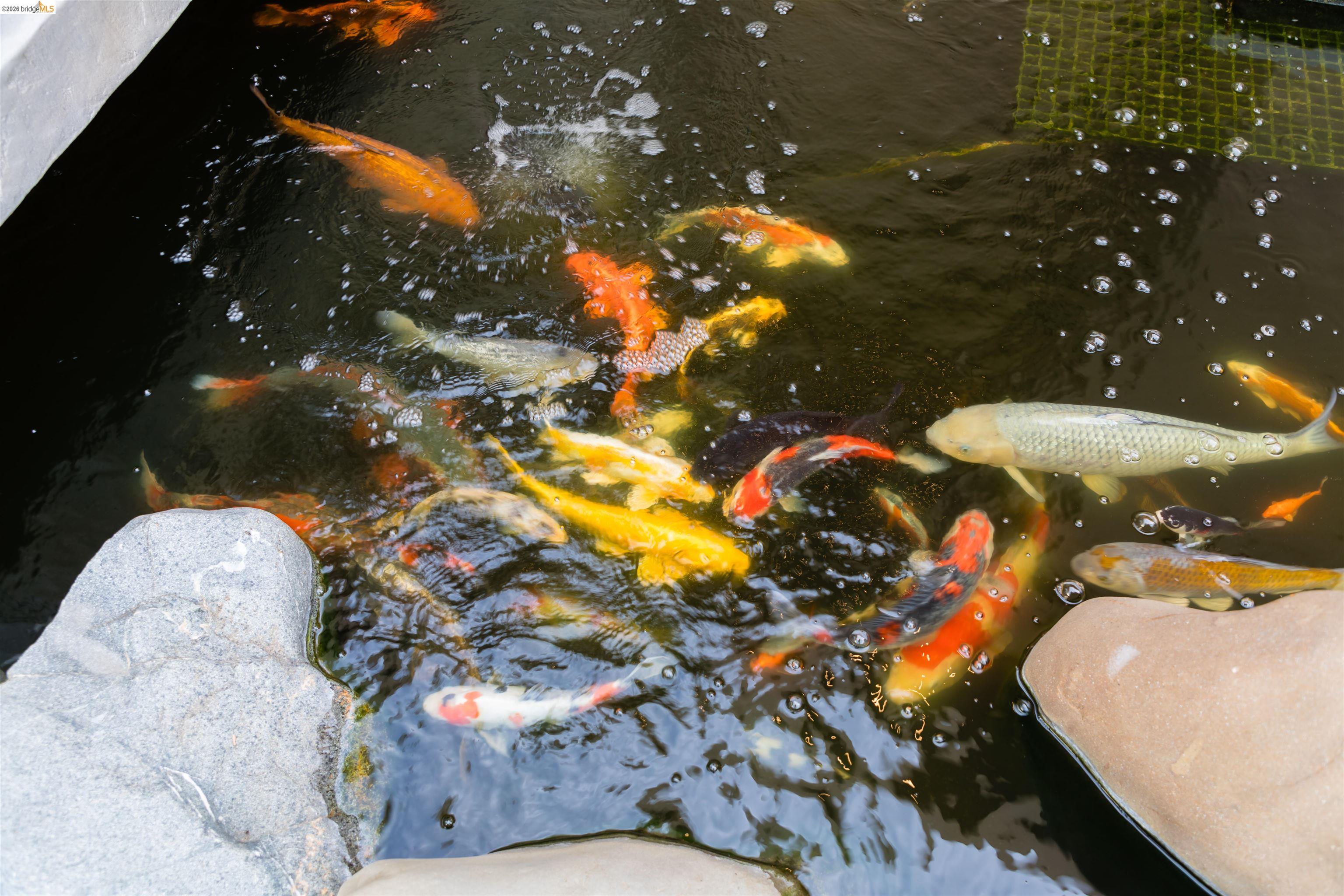 Detail Gallery Image 50 of 53 For 13367 Campus Dr., Oakland,  CA 94619 - 5 Beds | 4/1 Baths