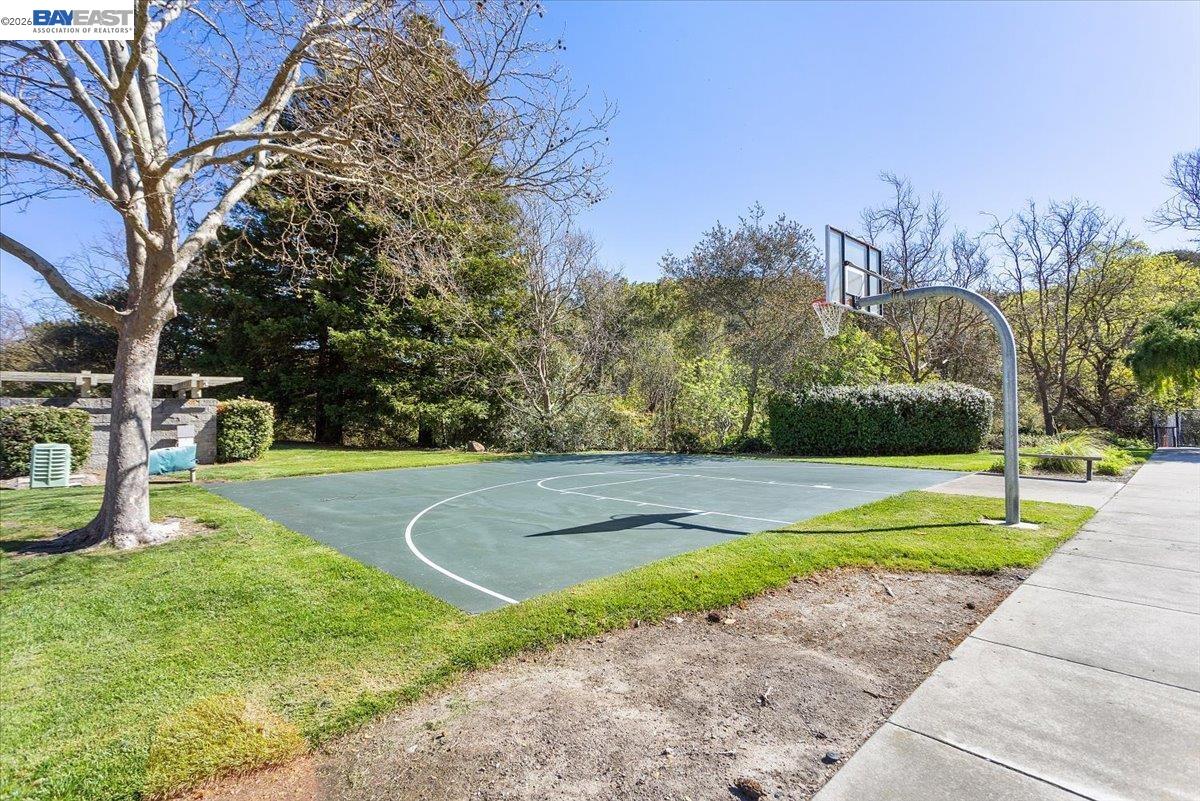 Photo #21: 41127529 Listing: Photo #21