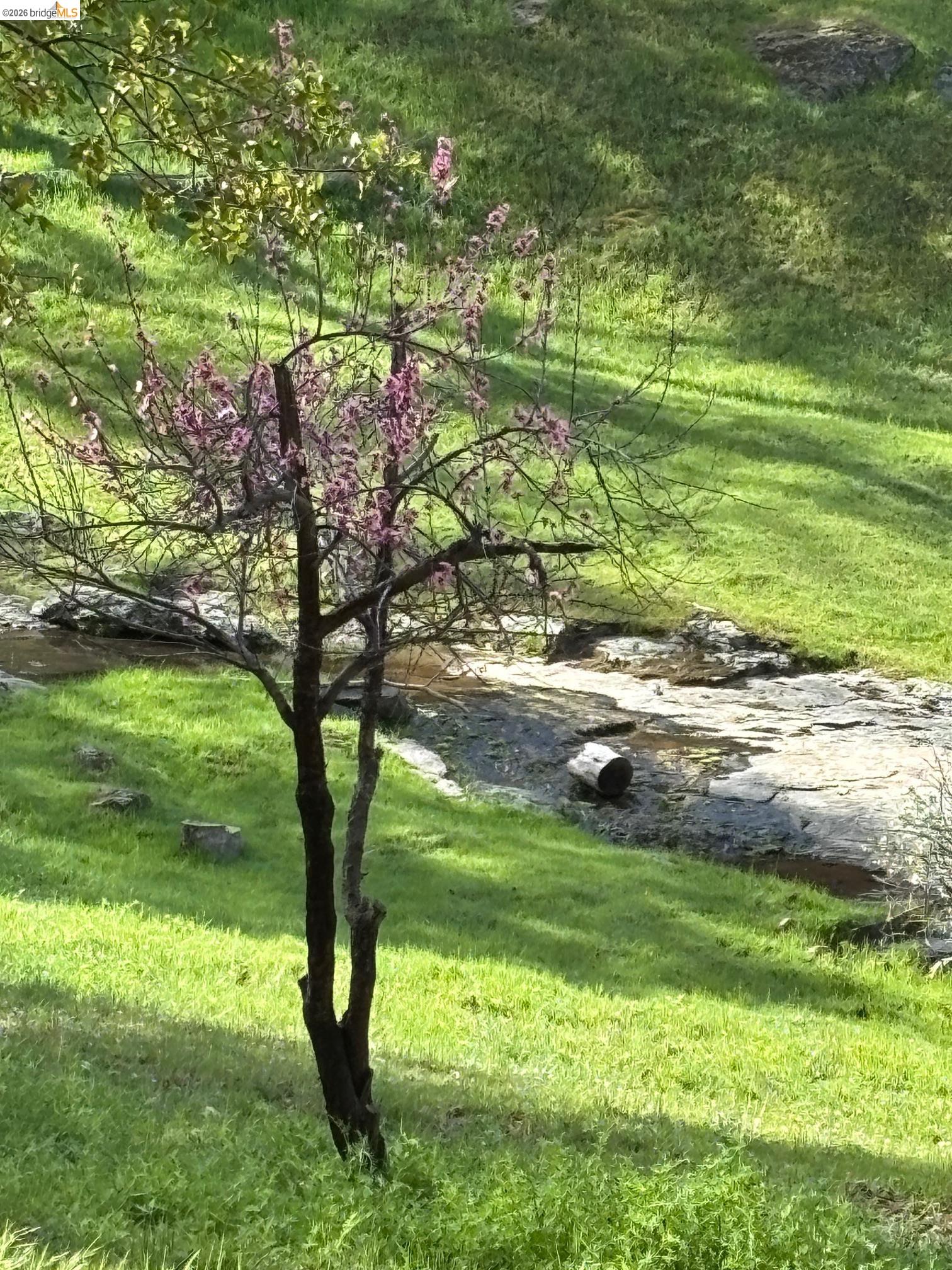 Detail Gallery Image 38 of 49 For 20773 Big Foot Circle, Groveland,  CA 95321 - 2 Beds | 1 Baths