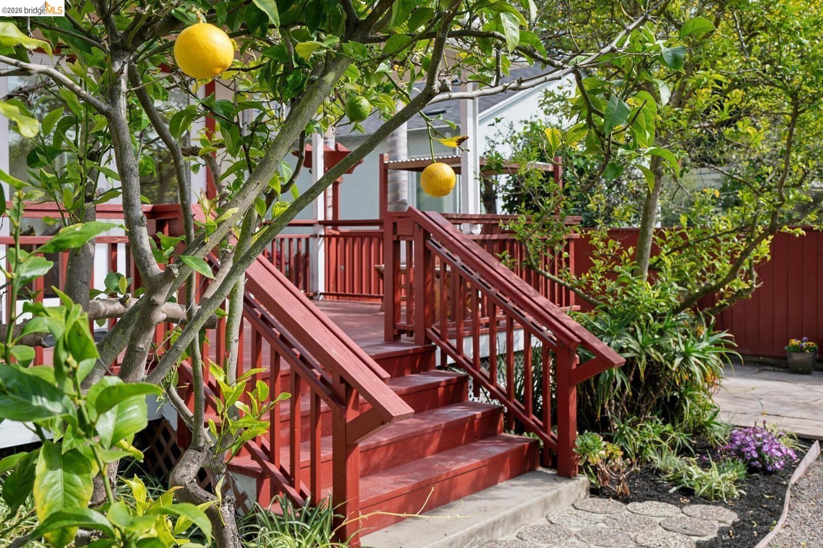 Detail Gallery Image 34 of 34 For 145 Ramona Ave, El Cerrito,  CA 94530 - 3 Beds | 3/1 Baths