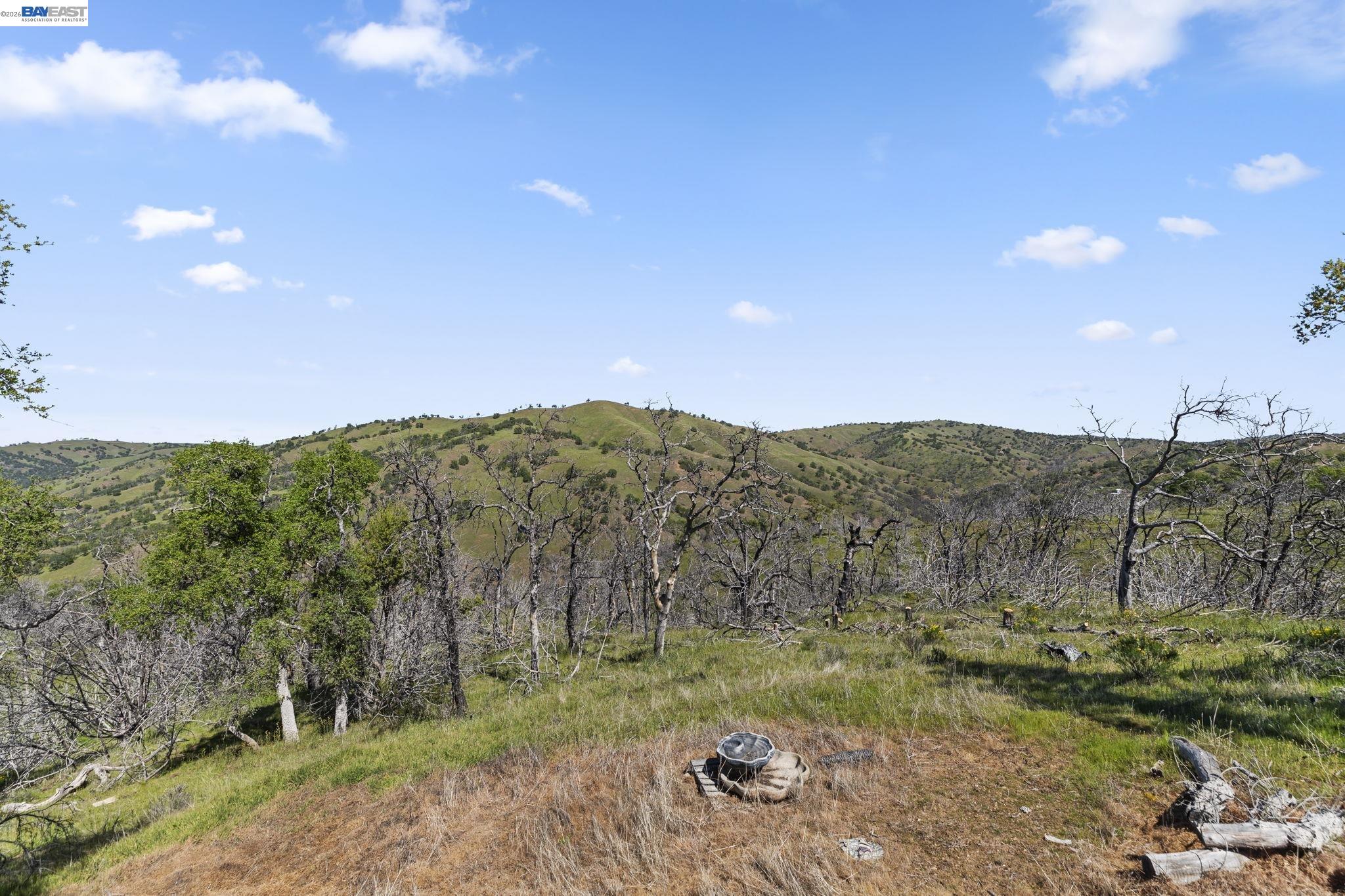 Detail Gallery Image 27 of 58 For 18188 W Corral Hollow Rd, Tracy,  CA 95377 - – Beds | – Baths