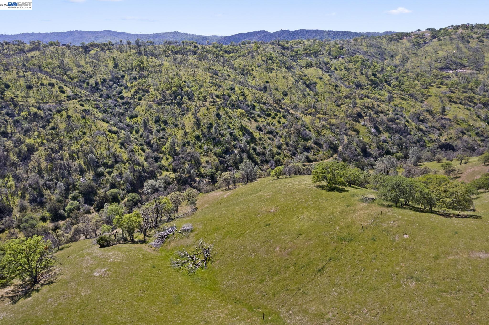 Detail Gallery Image 38 of 58 For 18188 W Corral Hollow Rd, Tracy,  CA 95377 - – Beds | – Baths