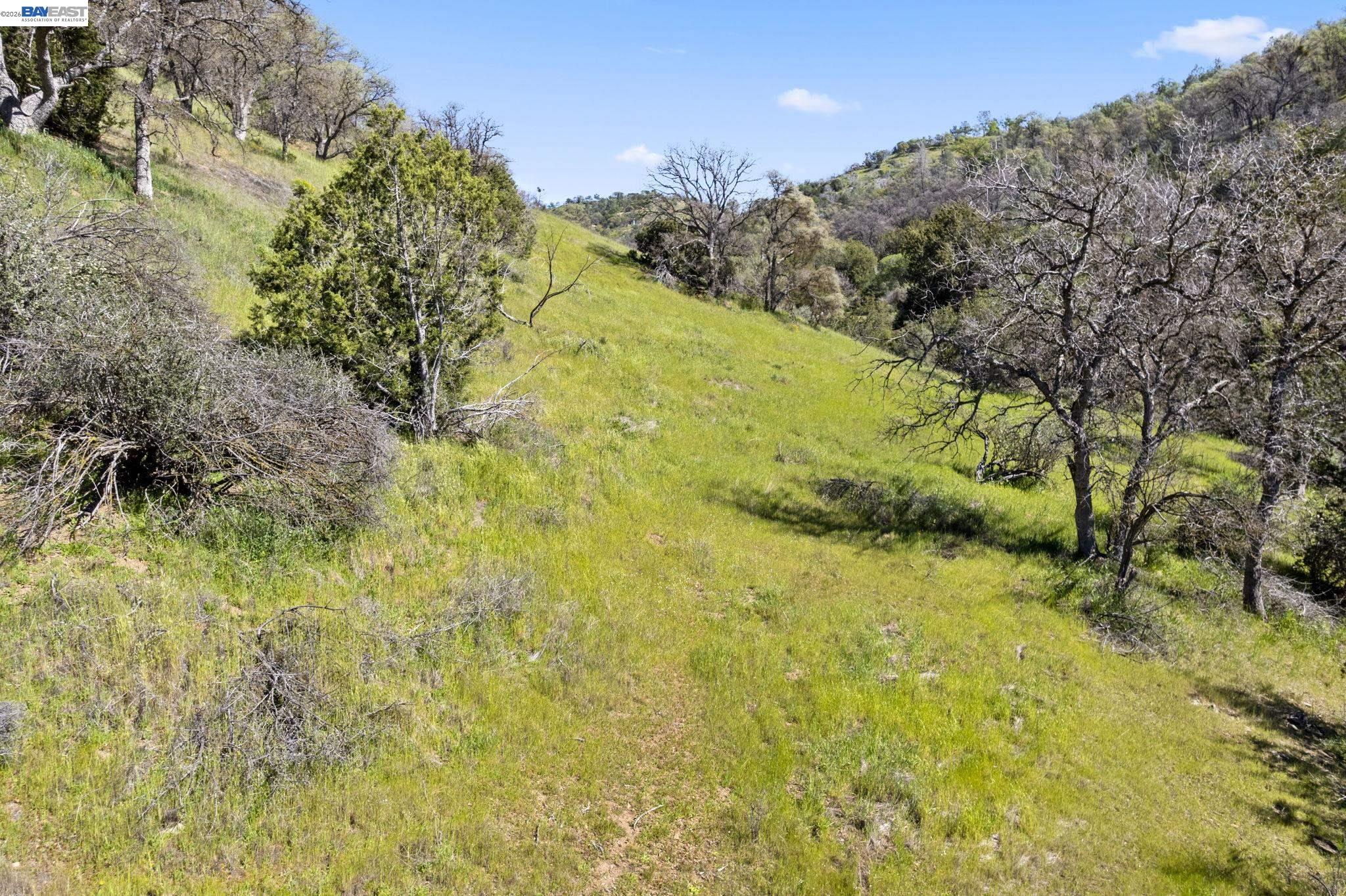 Detail Gallery Image 41 of 58 For 18188 W Corral Hollow Rd, Tracy,  CA 95377 - – Beds | – Baths