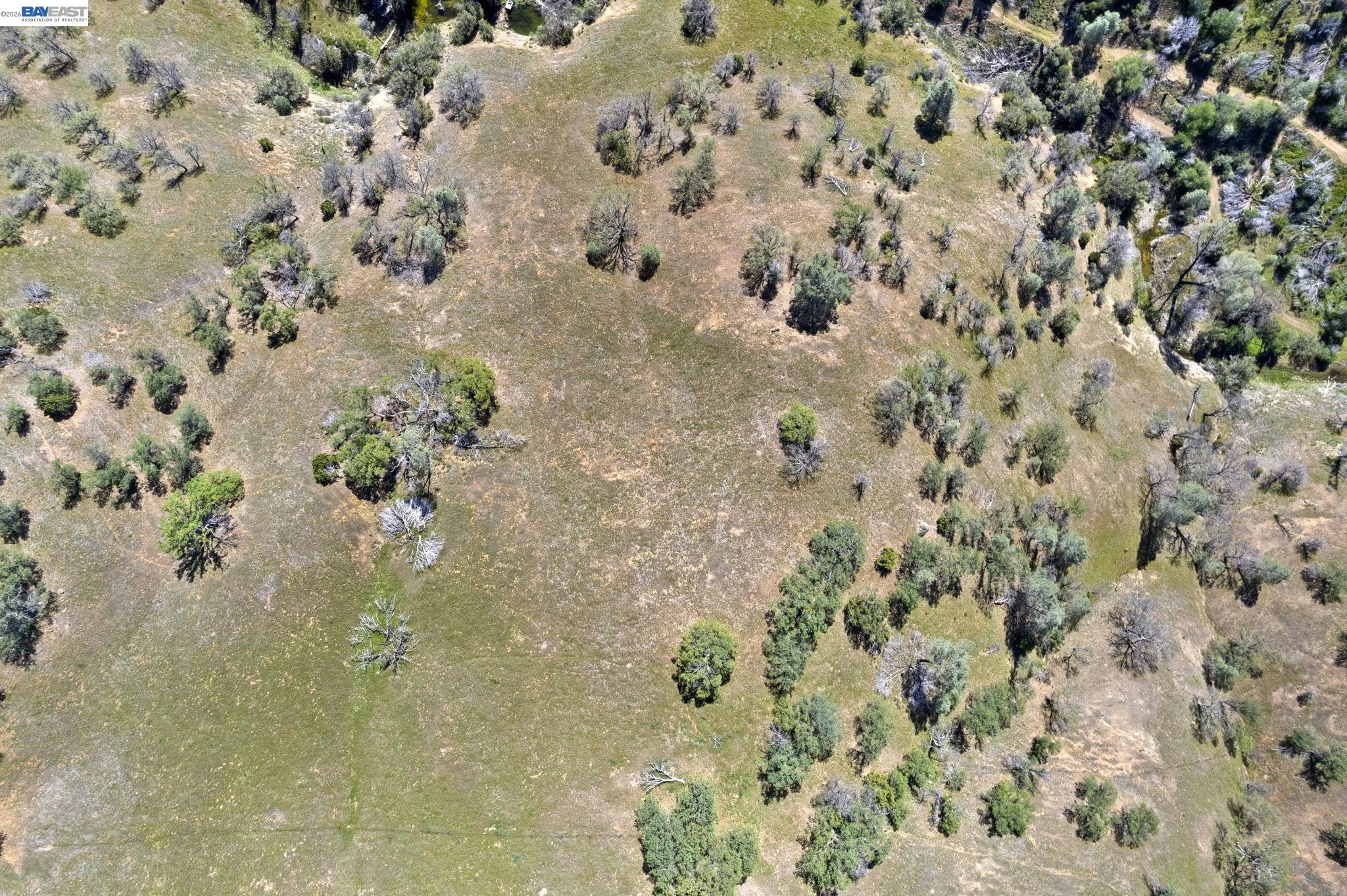 Detail Gallery Image 45 of 58 For 18188 W Corral Hollow Rd, Tracy,  CA 95377 - – Beds | – Baths