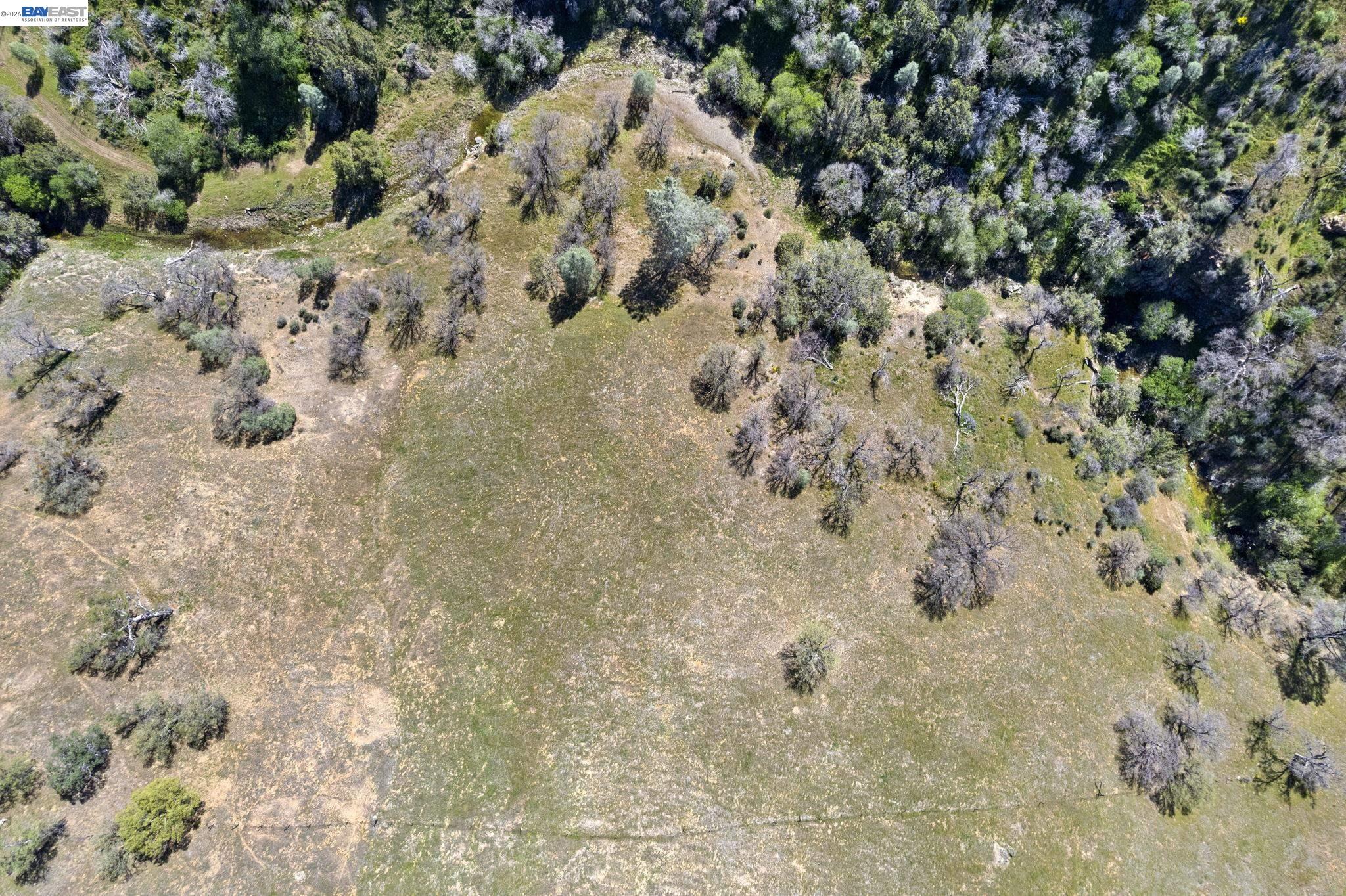 Detail Gallery Image 47 of 58 For 18188 W Corral Hollow Rd, Tracy,  CA 95377 - – Beds | – Baths