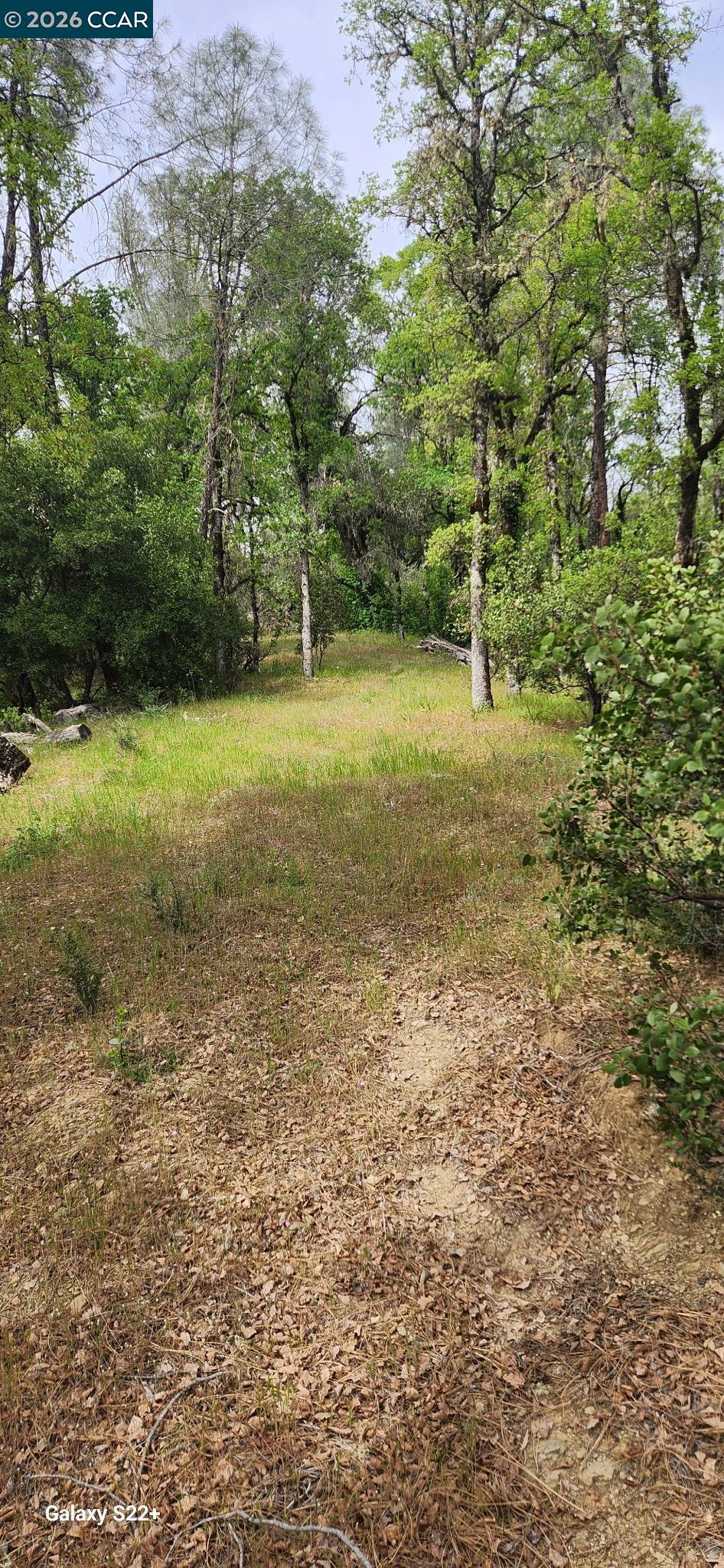 Detail Gallery Image 3 of 8 For Pigeon Ridge Road, Covelo,  CA 95428 - – Beds | – Baths