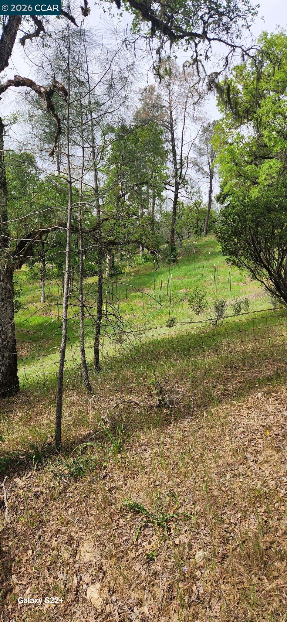 Detail Gallery Image 4 of 8 For Pigeon Ridge Road, Covelo,  CA 95428 - – Beds | – Baths