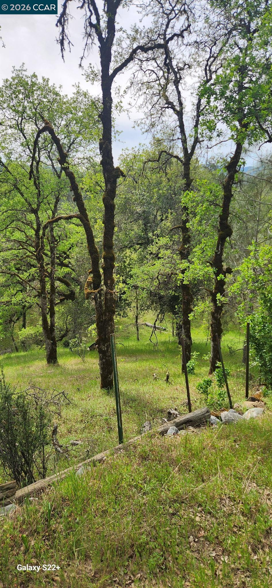 Detail Gallery Image 5 of 8 For Pigeon Ridge Road, Covelo,  CA 95428 - – Beds | – Baths