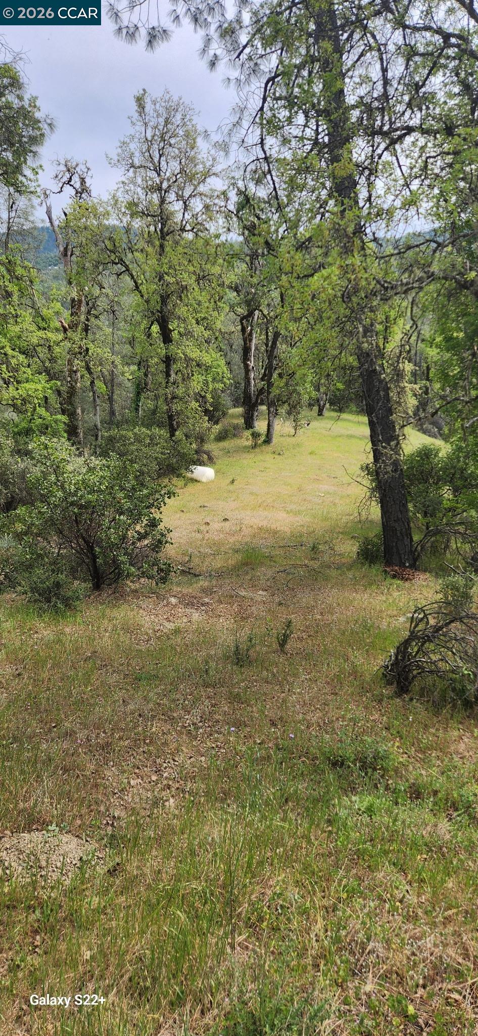 Detail Gallery Image 8 of 8 For Pigeon Ridge Road, Covelo,  CA 95428 - – Beds | – Baths