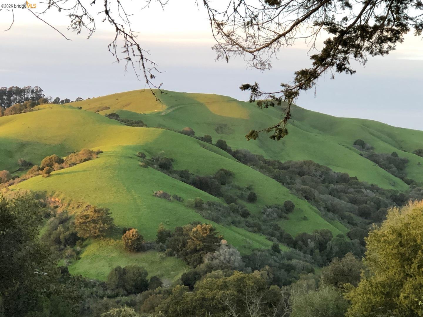 Detail Gallery Image 40 of 44 For 1501 Fairview Ave, Richmond,  CA 94805 - 2 Beds | 1 Baths