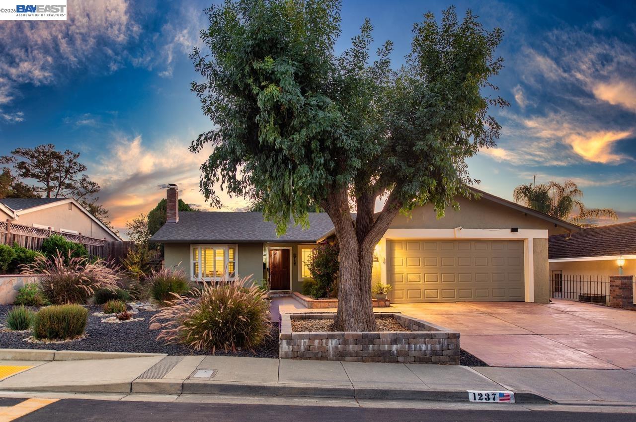 Front Image Thumbnail for BE41127593