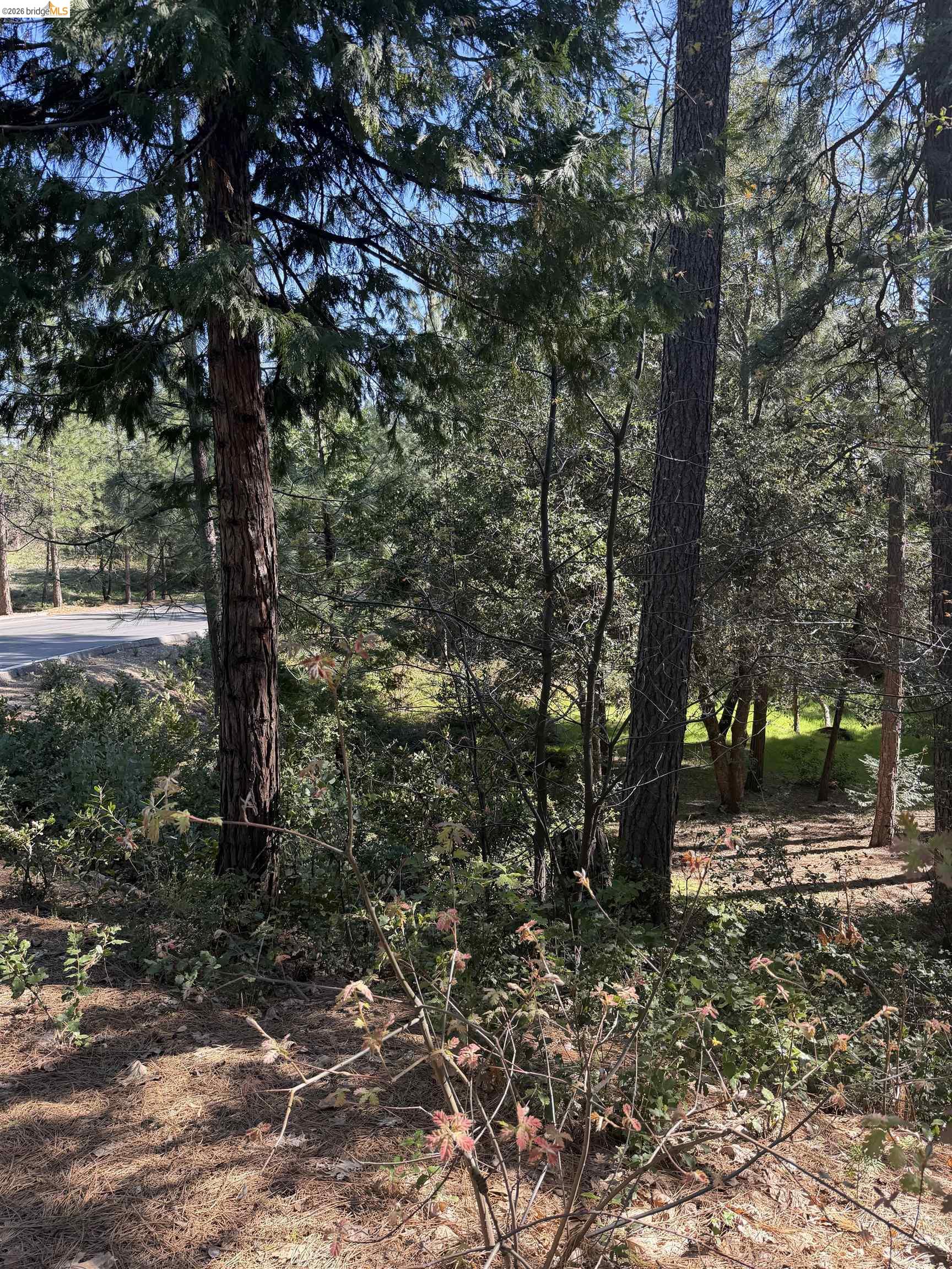 Detail Gallery Image 3 of 9 For Sandelwood, Murphys,  CA 95247 - – Beds | – Baths