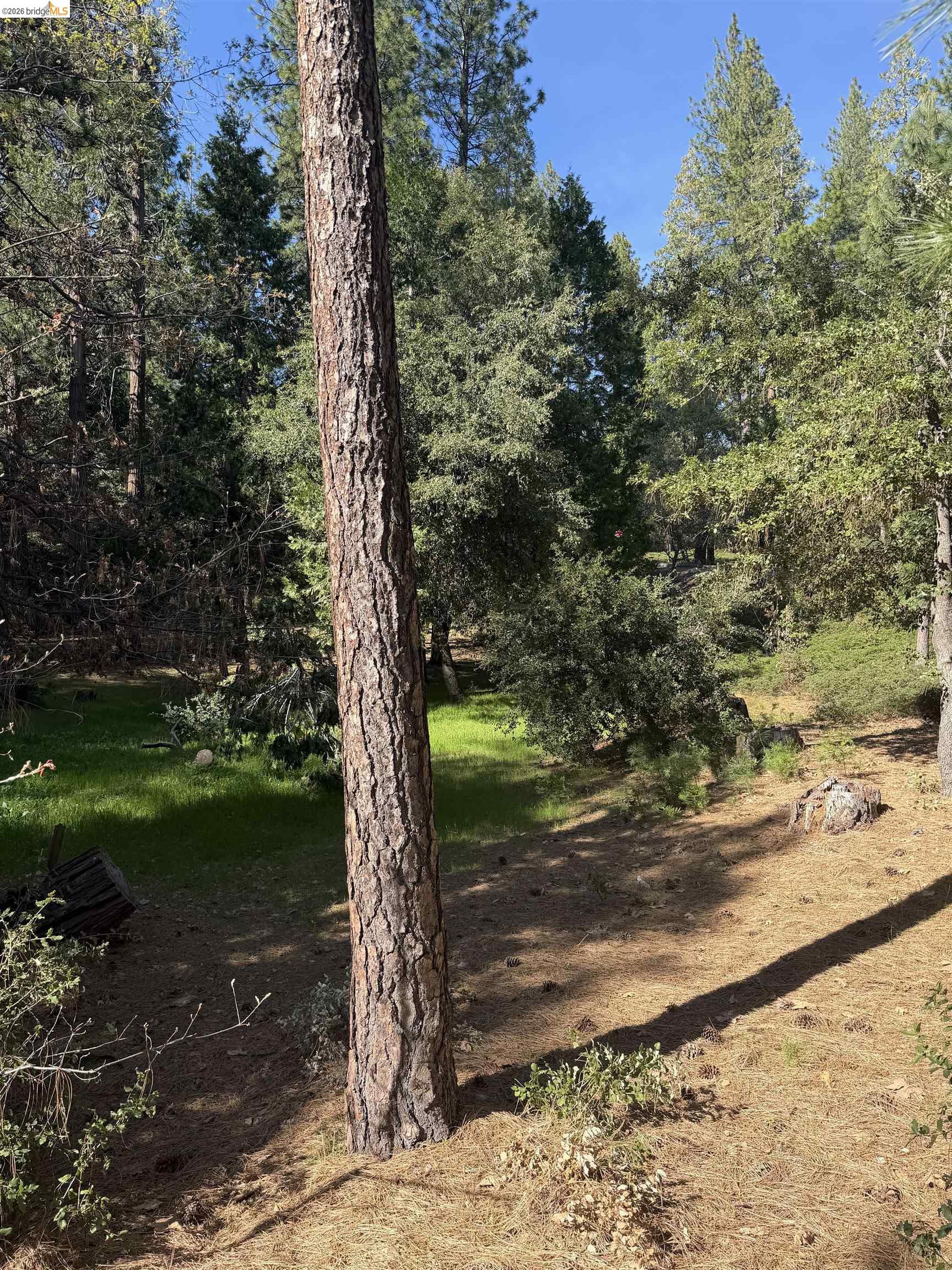 Detail Gallery Image 4 of 9 For Sandelwood, Murphys,  CA 95247 - – Beds | – Baths