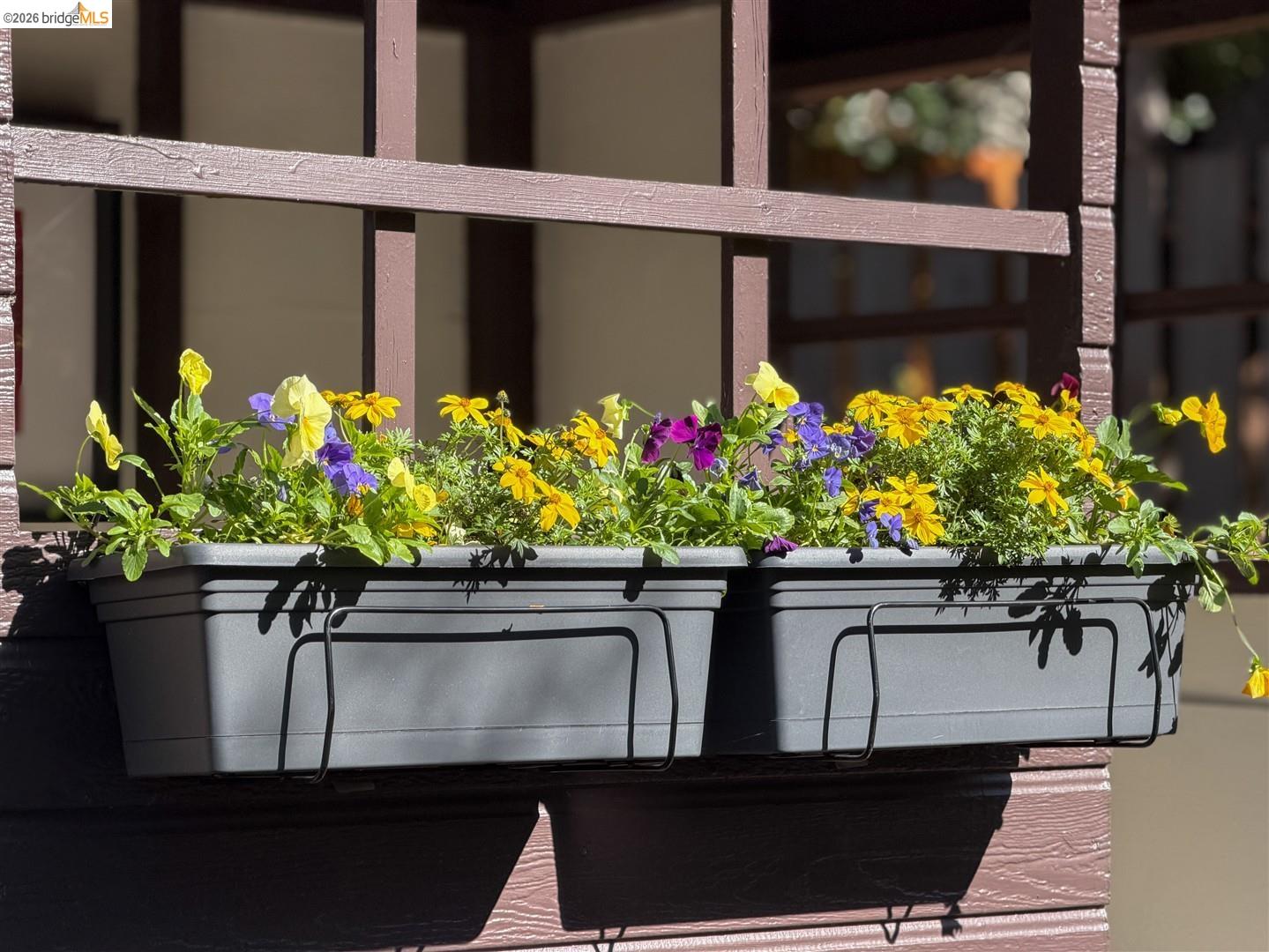 Detail Gallery Image 34 of 55 For 1950 Hopkins Street, Berkeley,  CA 94707 - 2 Beds | 2 Baths