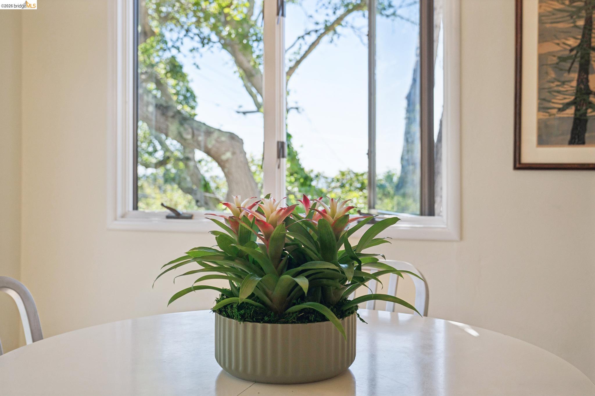 Detail Gallery Image 11 of 49 For 1698 La Loma Ave, Berkeley,  CA 94709 - 1 Beds | 1 Baths