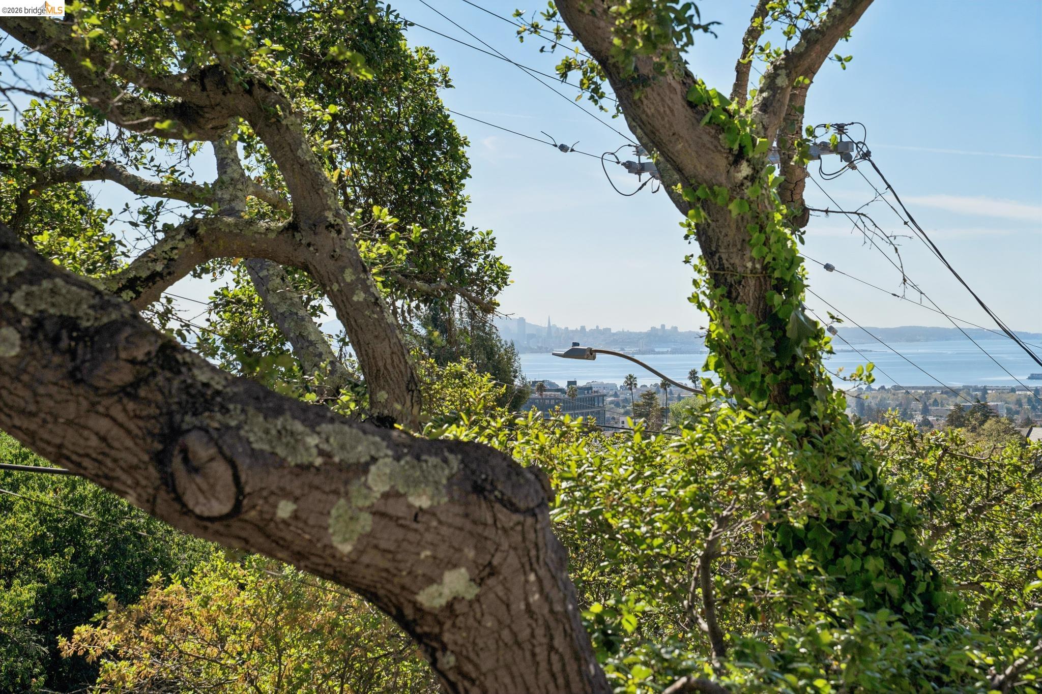 Detail Gallery Image 16 of 49 For 1698 La Loma Ave, Berkeley,  CA 94709 - 1 Beds | 1 Baths