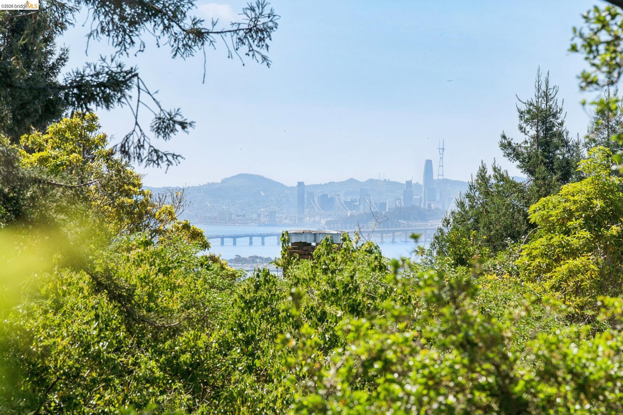 Detail Gallery Image 17 of 49 For 1698 La Loma Ave, Berkeley,  CA 94709 - 1 Beds | 1 Baths