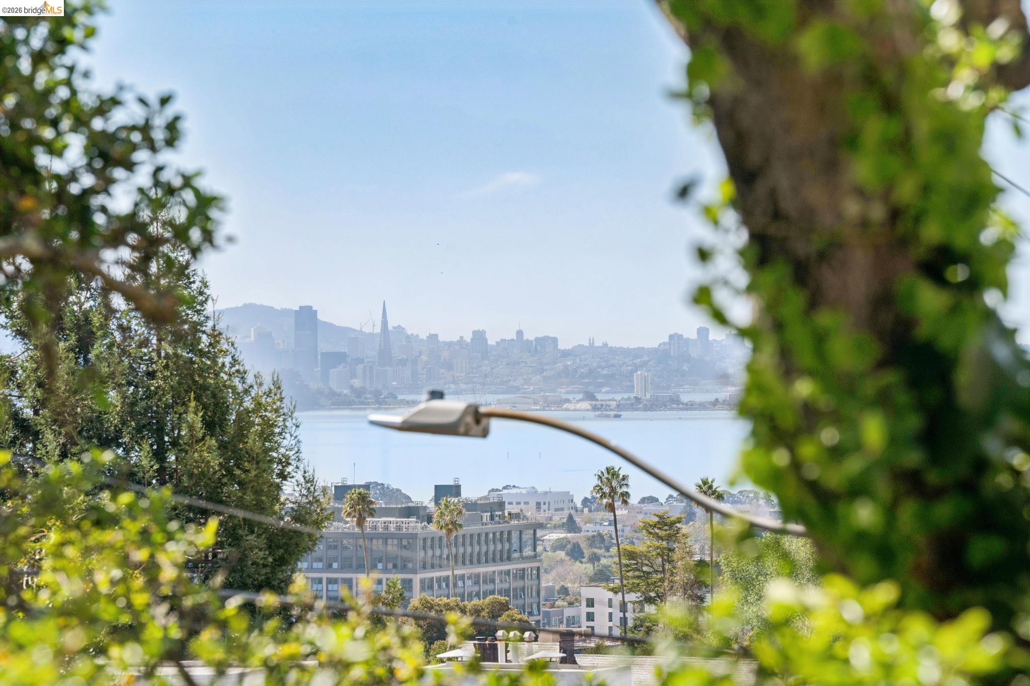 Detail Gallery Image 19 of 49 For 1698 La Loma Ave, Berkeley,  CA 94709 - 1 Beds | 1 Baths