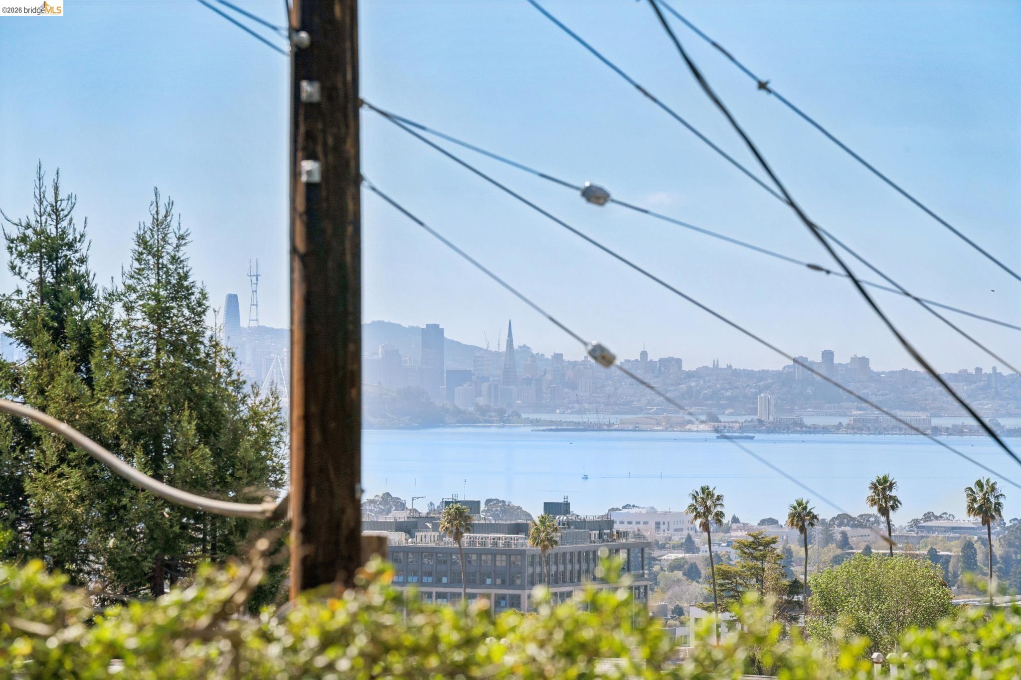 Photo #25: 41127612 Listing: Photo #25