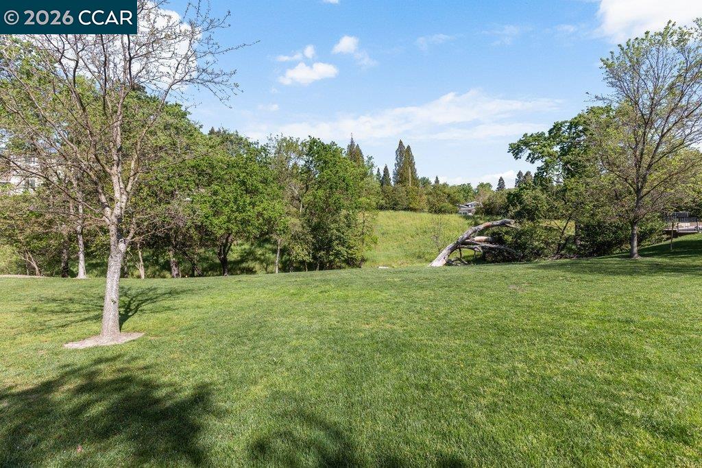 Detail Gallery Image 52 of 52 For 172 Sugarloaf Ct, Alamo,  CA 94507 - 4 Beds | 2 Baths