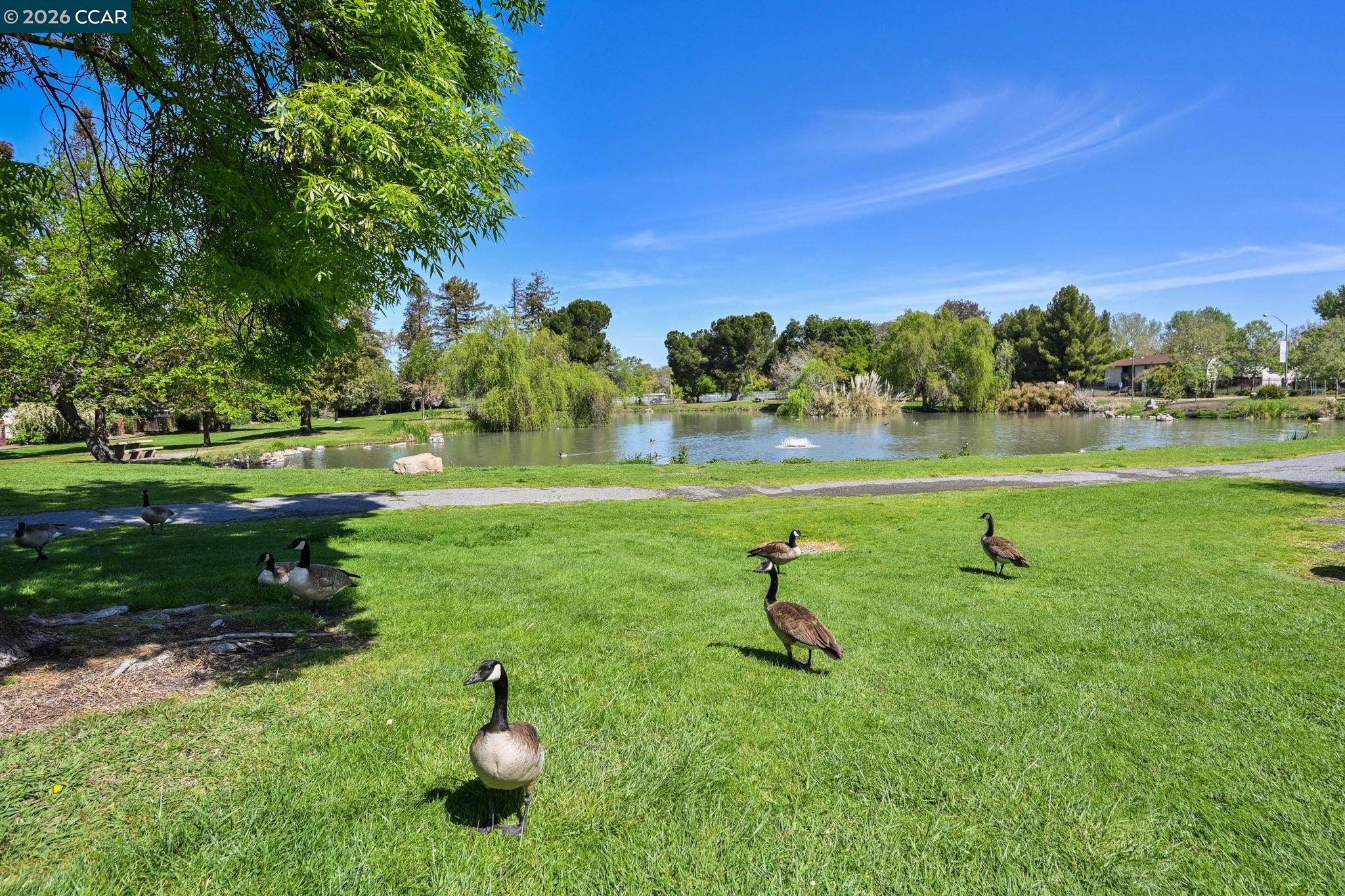 Detail Gallery Image 25 of 26 For 1954 N 6th St, Concord,  CA 94519 - 3 Beds | 2 Baths