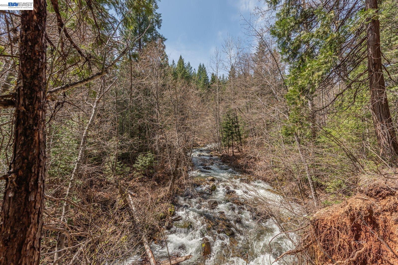 Detail Gallery Image 38 of 56 For 121 Mountain Aire Ln, Trinity Center,  CA 96091 - 2 Beds | 1 Baths