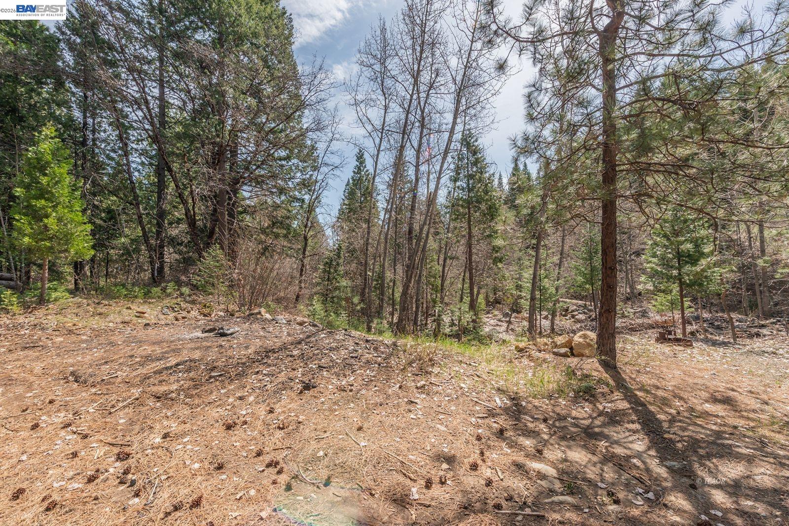 Detail Gallery Image 43 of 56 For 121 Mountain Aire Ln, Trinity Center,  CA 96091 - 2 Beds | 1 Baths