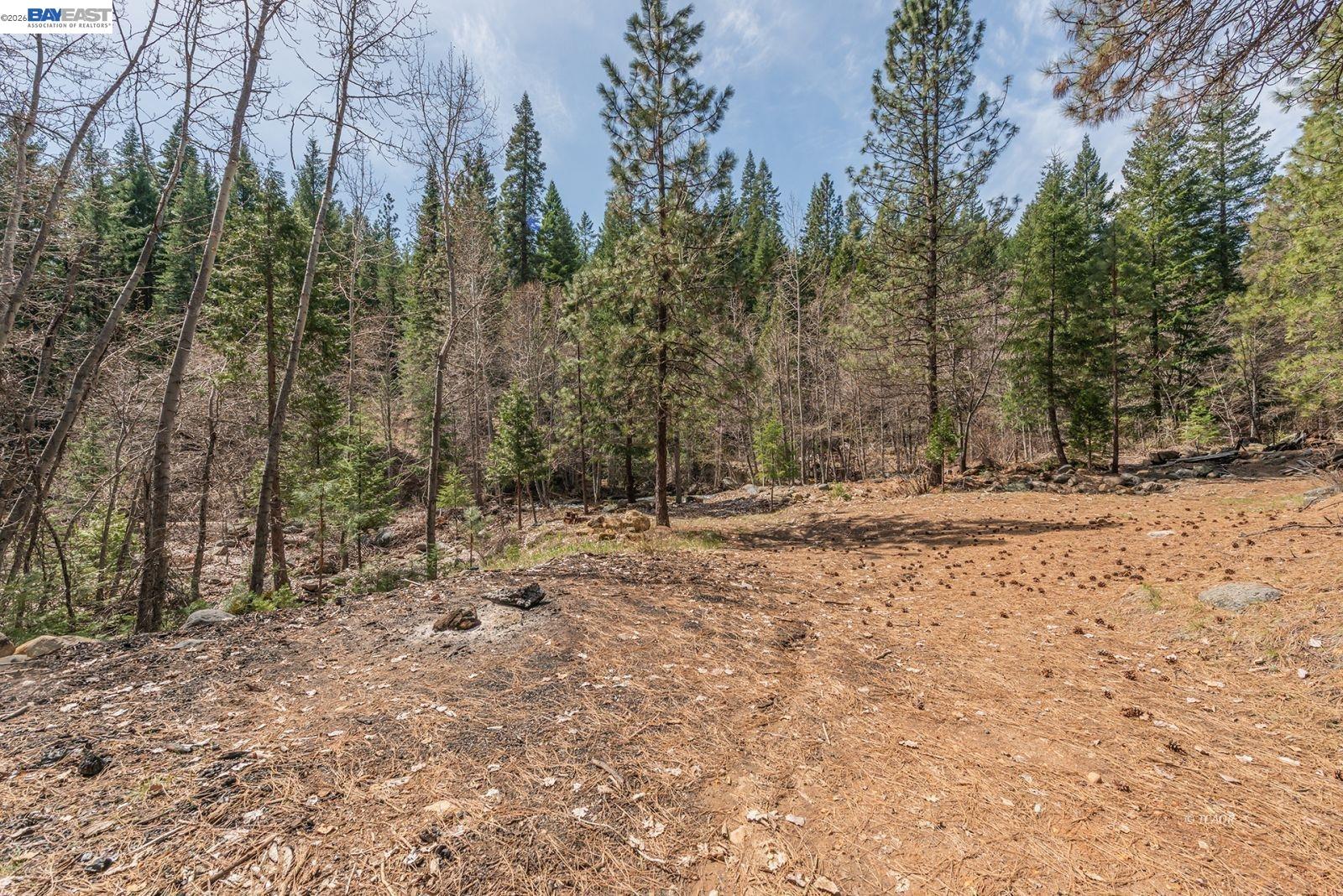 Detail Gallery Image 46 of 56 For 121 Mountain Aire Ln, Trinity Center,  CA 96091 - 2 Beds | 1 Baths