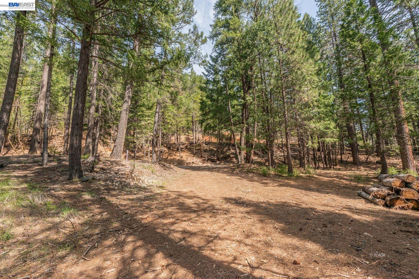 Detail Gallery Image 47 of 56 For 121 Mountain Aire Ln, Trinity Center,  CA 96091 - 2 Beds | 1 Baths