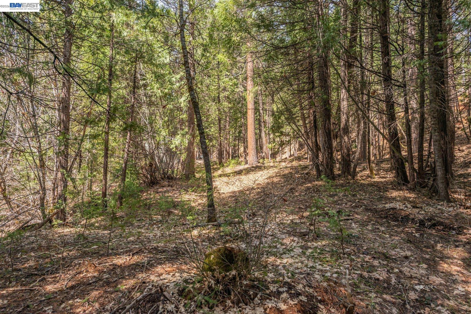 Detail Gallery Image 56 of 56 For 121 Mountain Aire Ln, Trinity Center,  CA 96091 - 2 Beds | 1 Baths