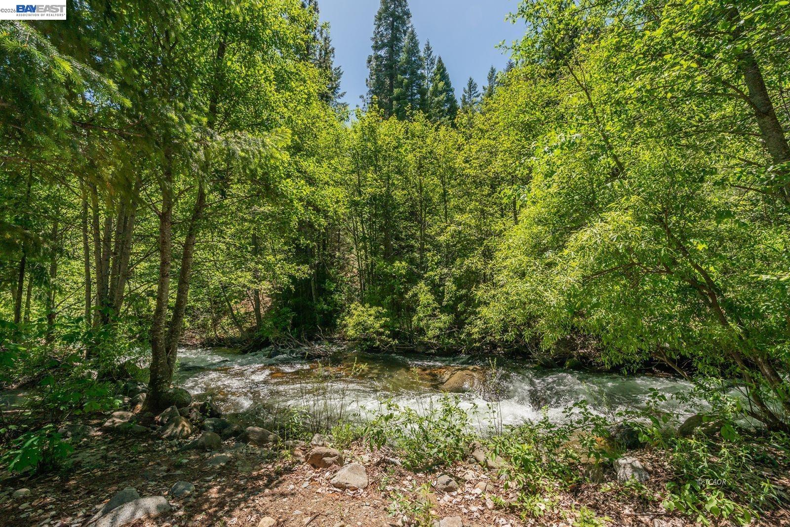 Detail Gallery Image 9 of 56 For 121 Mountain Aire Ln, Trinity Center,  CA 96091 - 2 Beds | 1 Baths