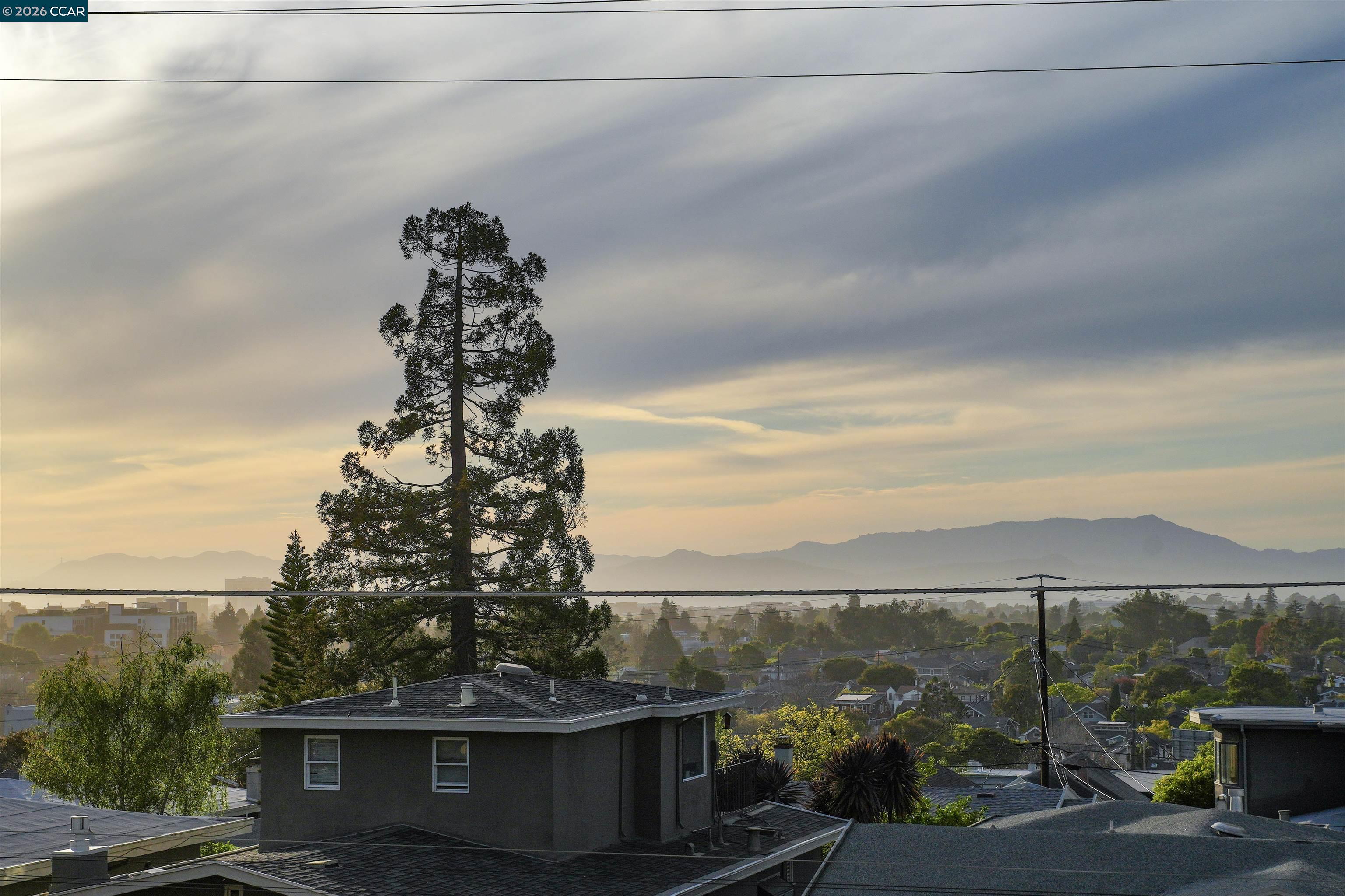 Photo #11: 41127646 Listing: Photo #11