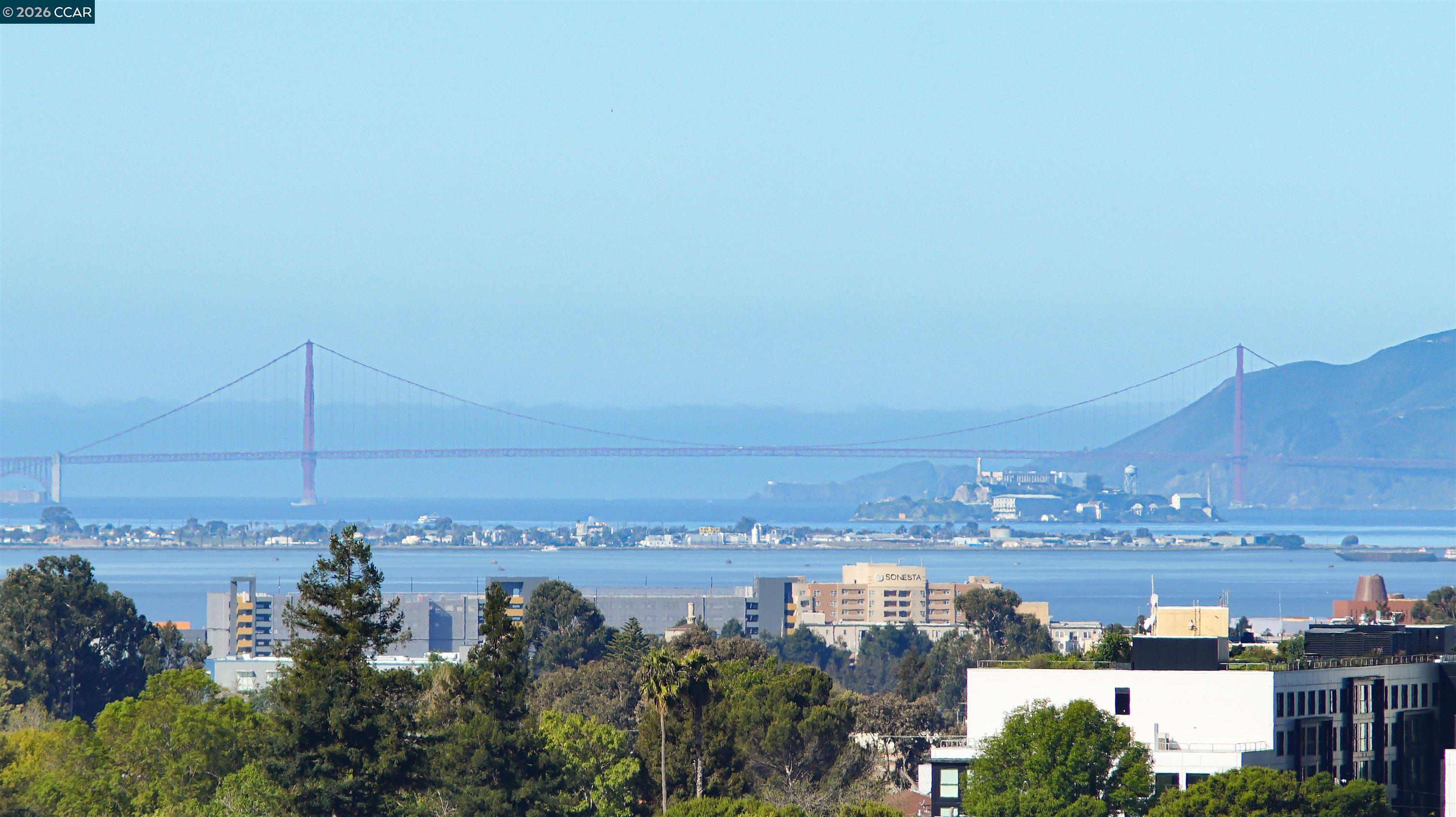 Photo #13: 41127646 Listing: Photo #13