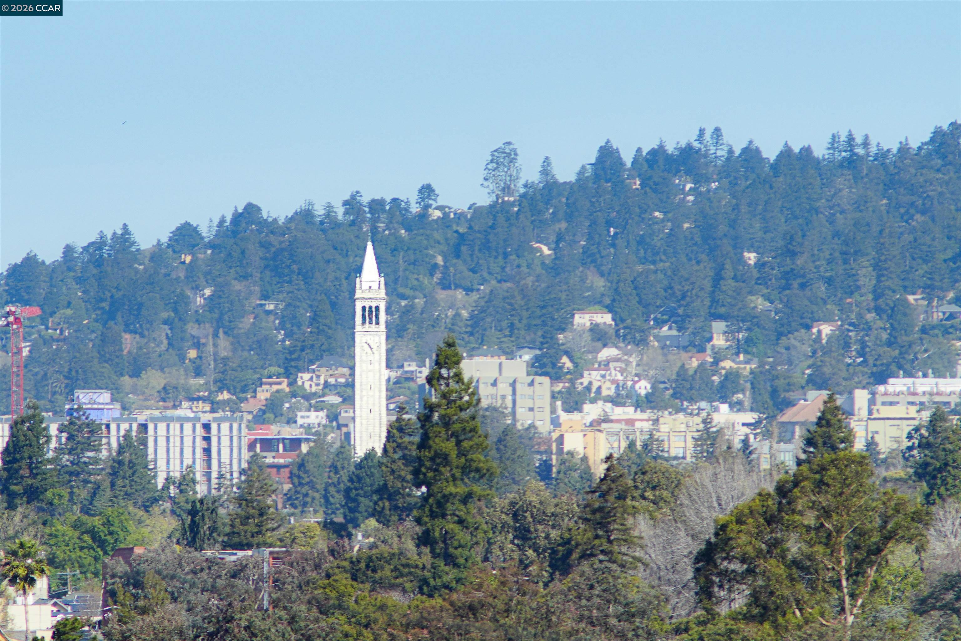 Photo #14: 41127646 Listing: Photo #14