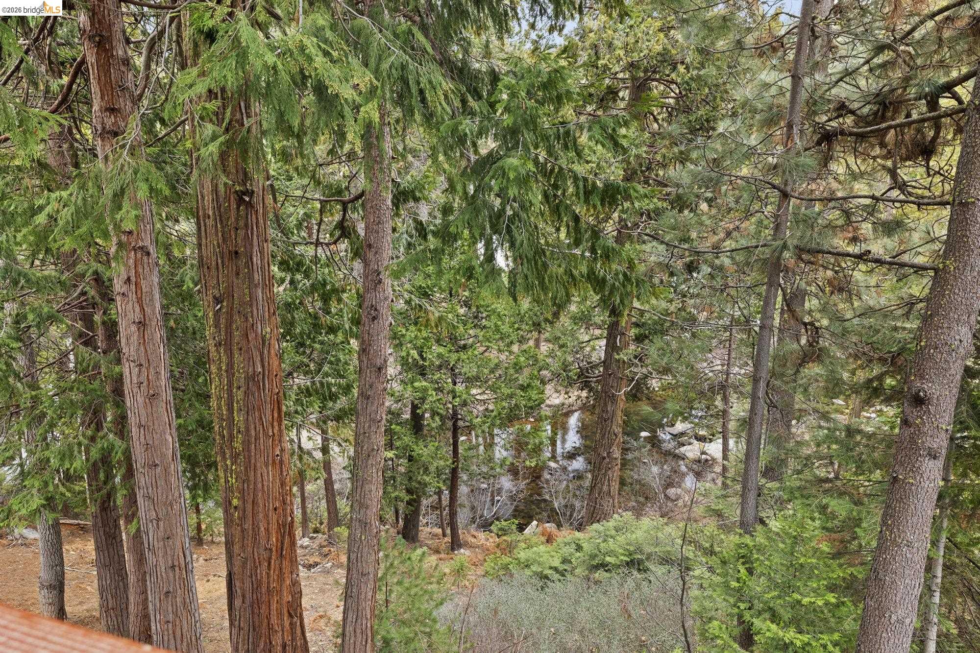 Detail Gallery Image 30 of 39 For 28515 S Stan Ct, Strawberry,  CA 95375 - 3 Beds | 2 Baths