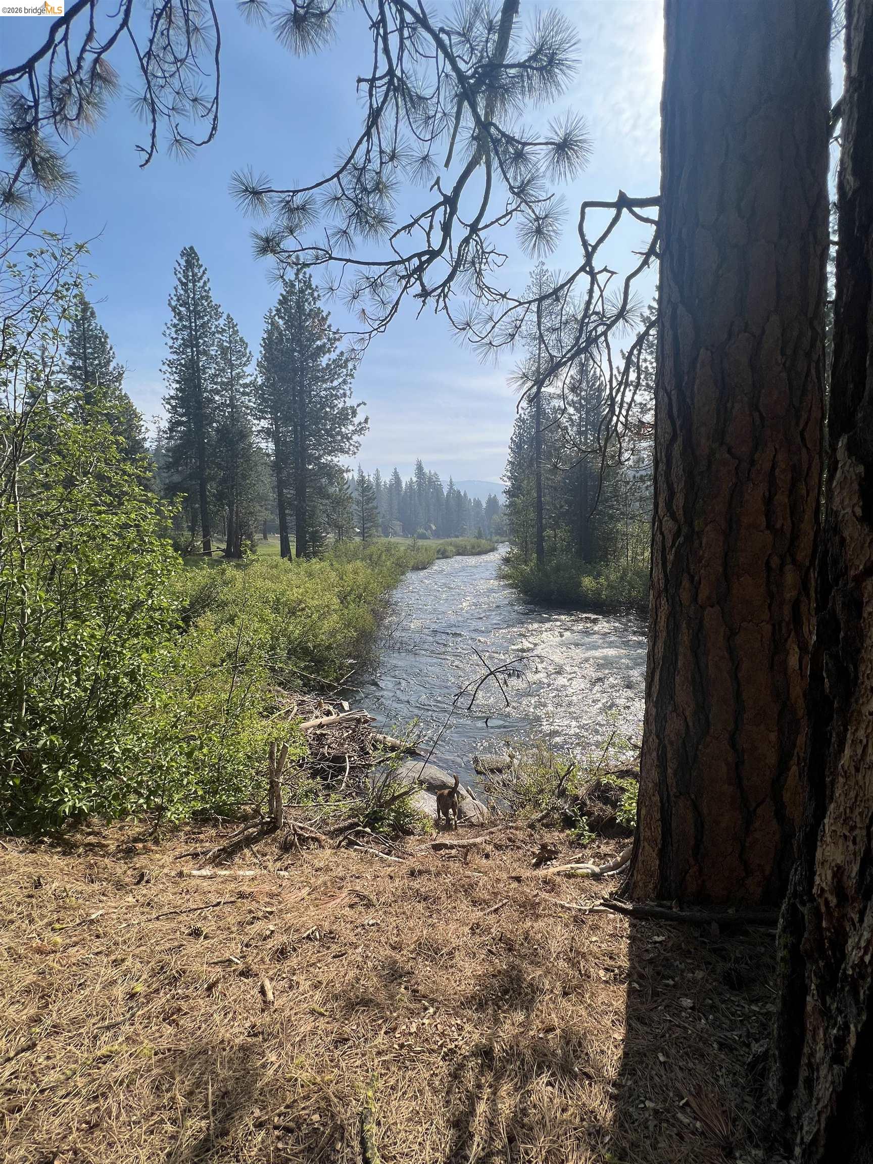 Detail Gallery Image 43 of 50 For 28525 S Stan Ct, Strawberry,  CA 95364 - 3 Beds | 2 Baths