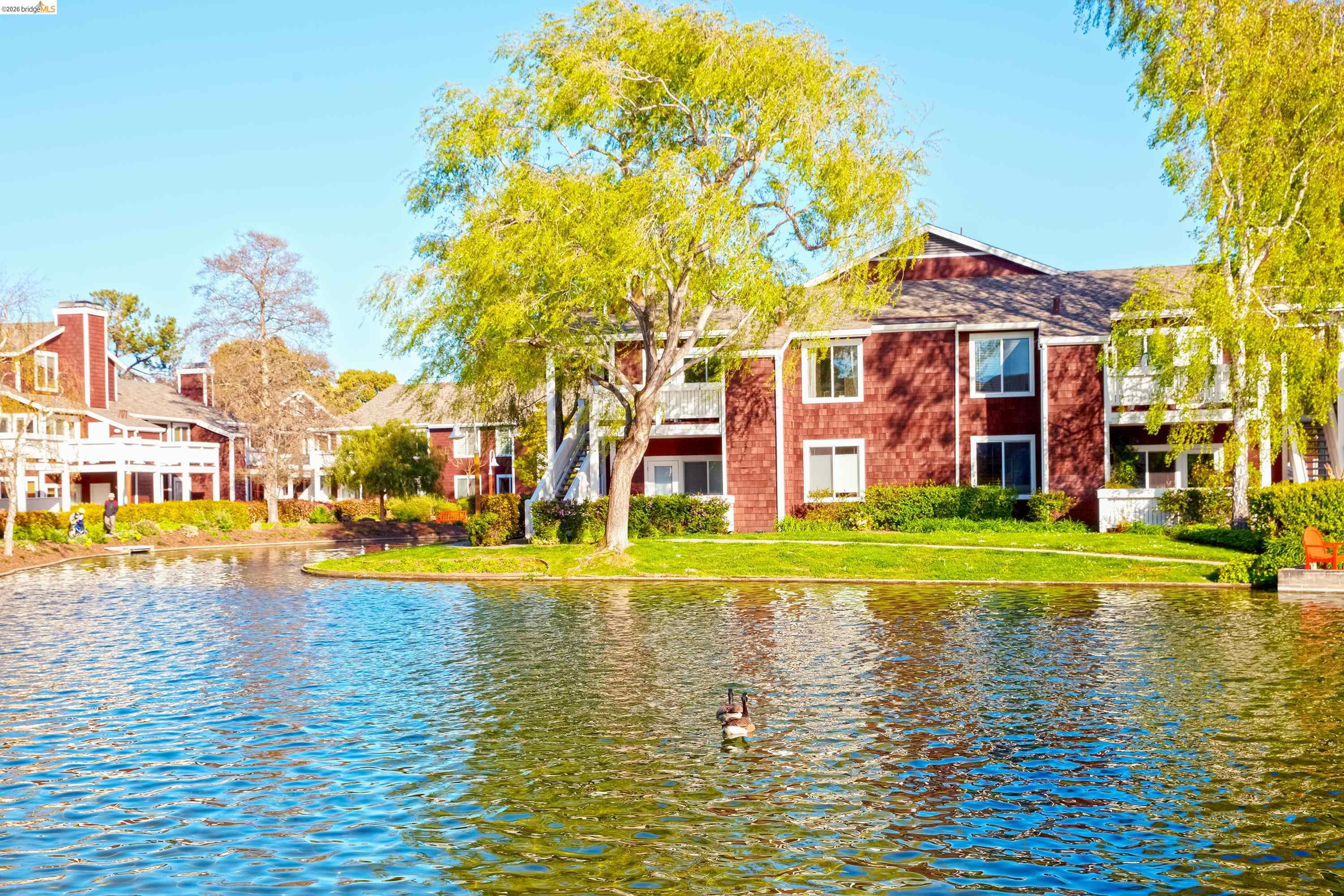 Photo #1: 41127697 Listing: Photo #1