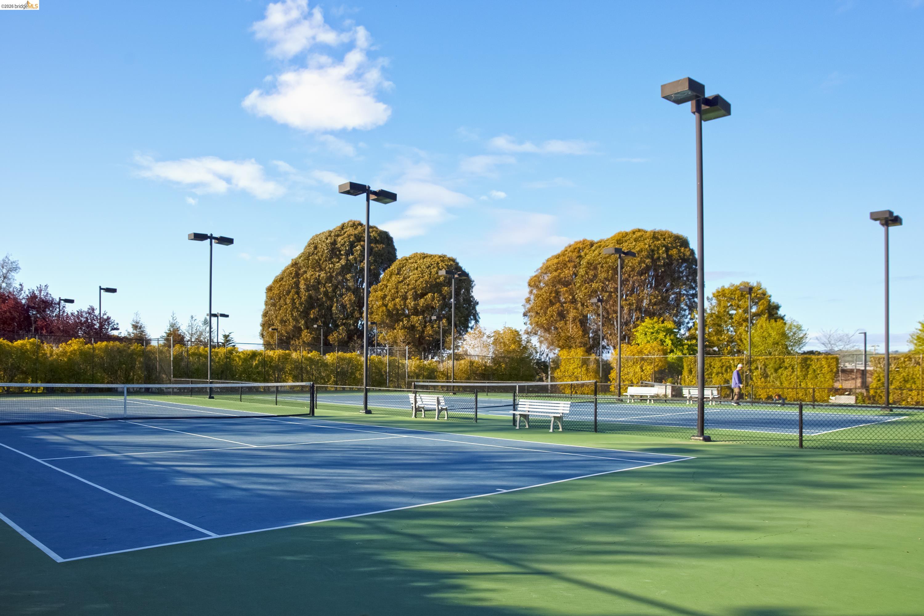 Photo #15: 41127697 Listing: Photo #15