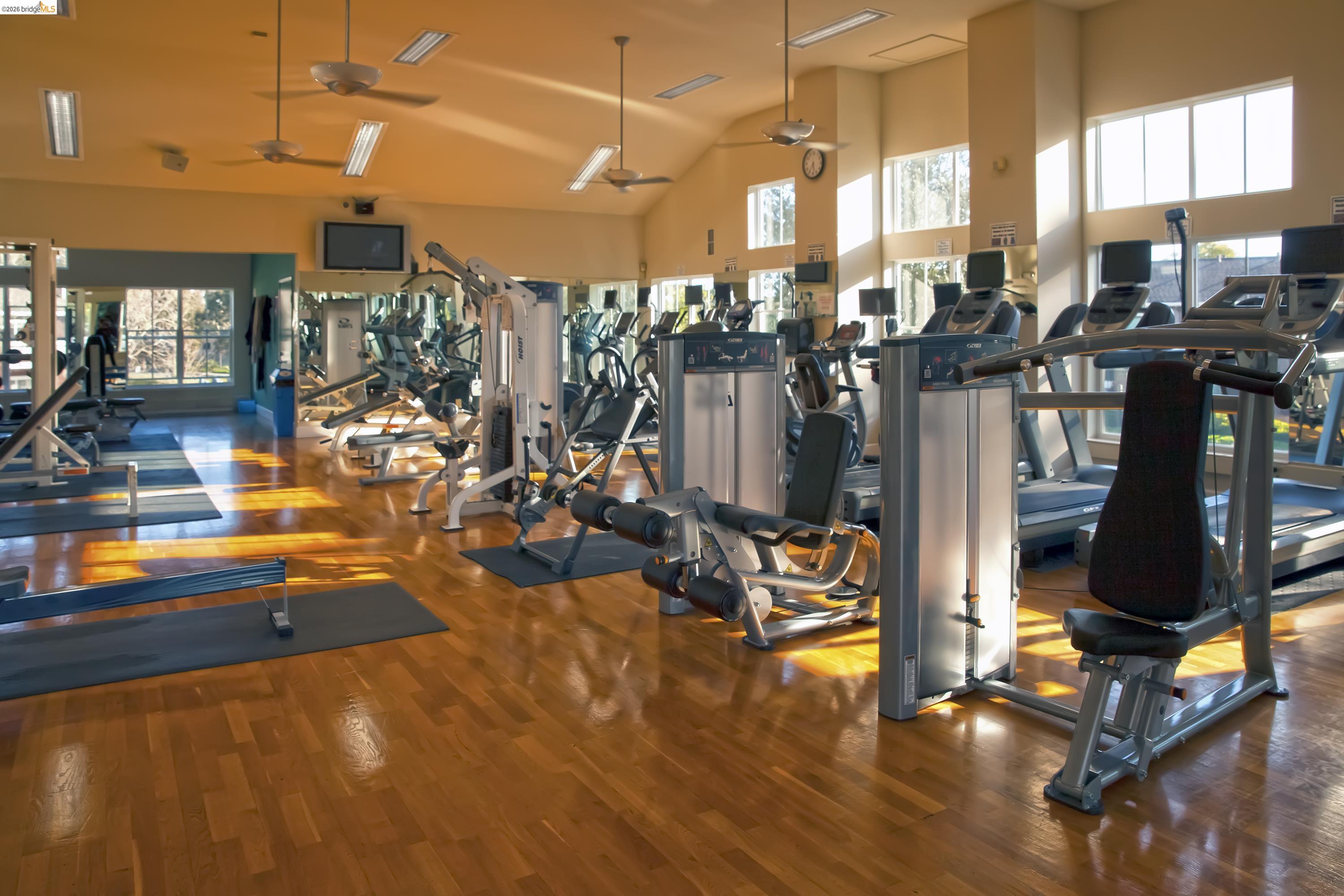 Photo #21: 41127697 Listing: Photo #21