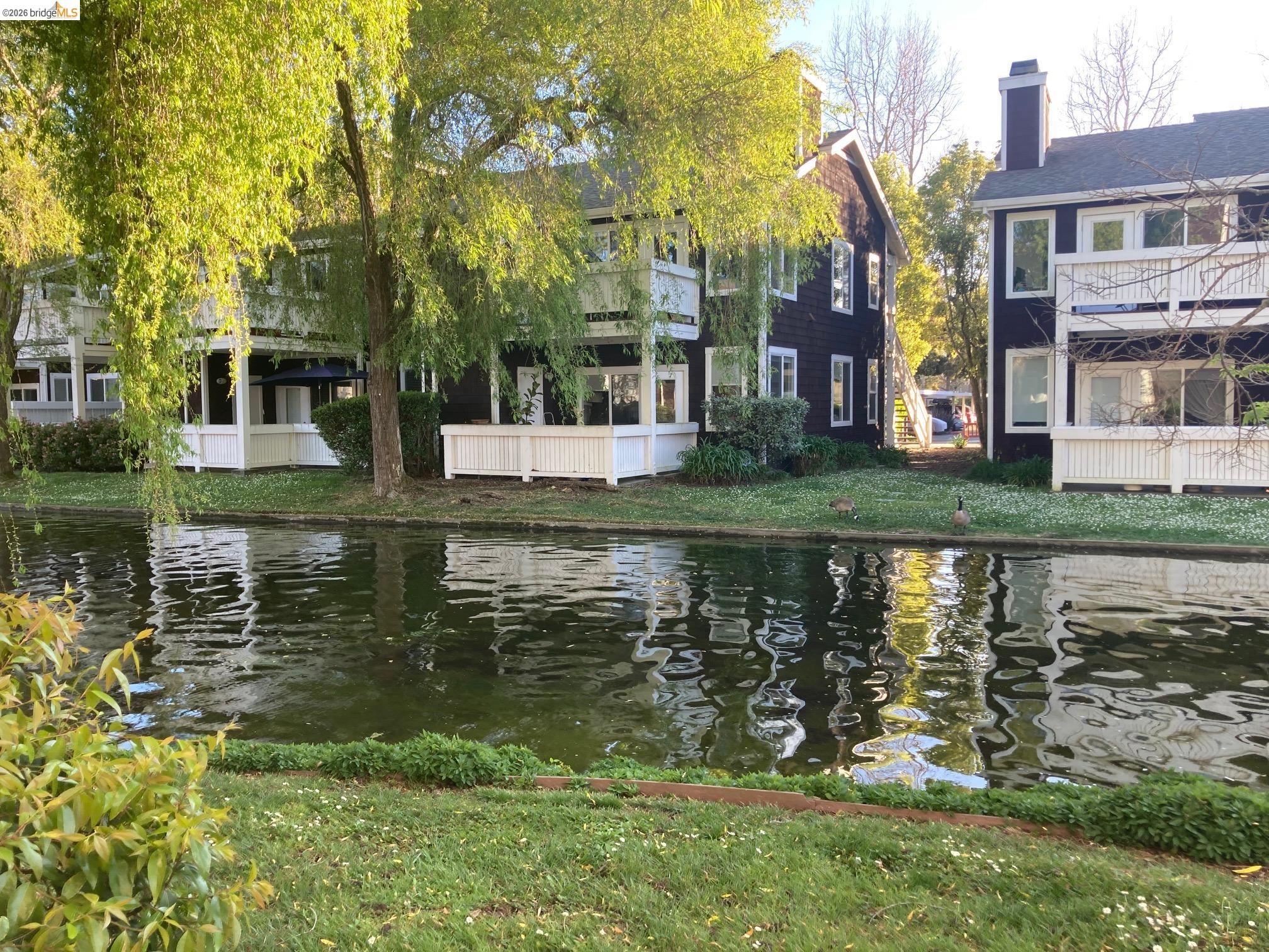 Photo #4: 41127697 Listing: Photo #4