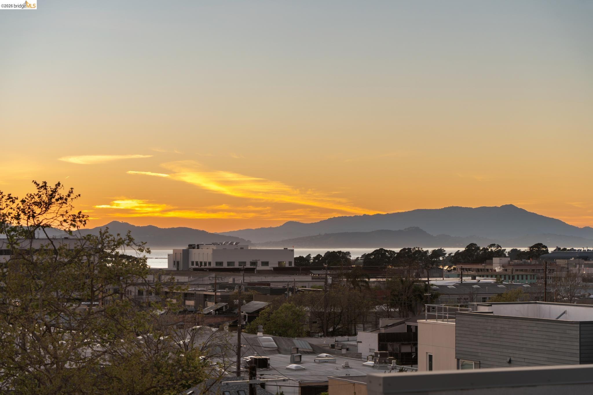 Photo #14: 41127708 Listing: Photo #14