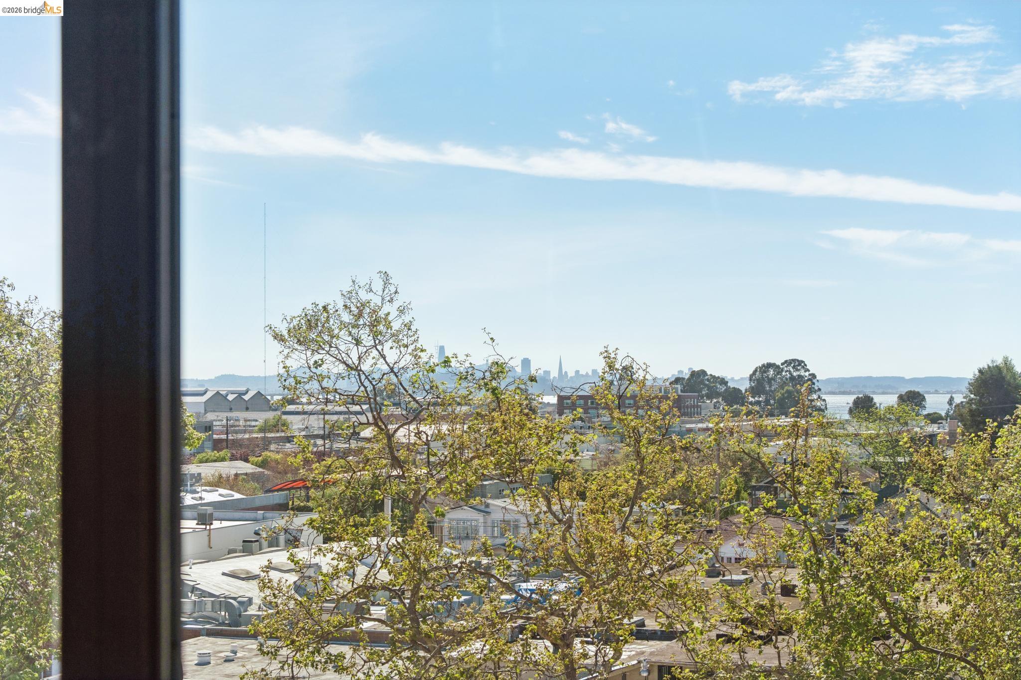 Photo #37: 41127708 Listing: Photo #37