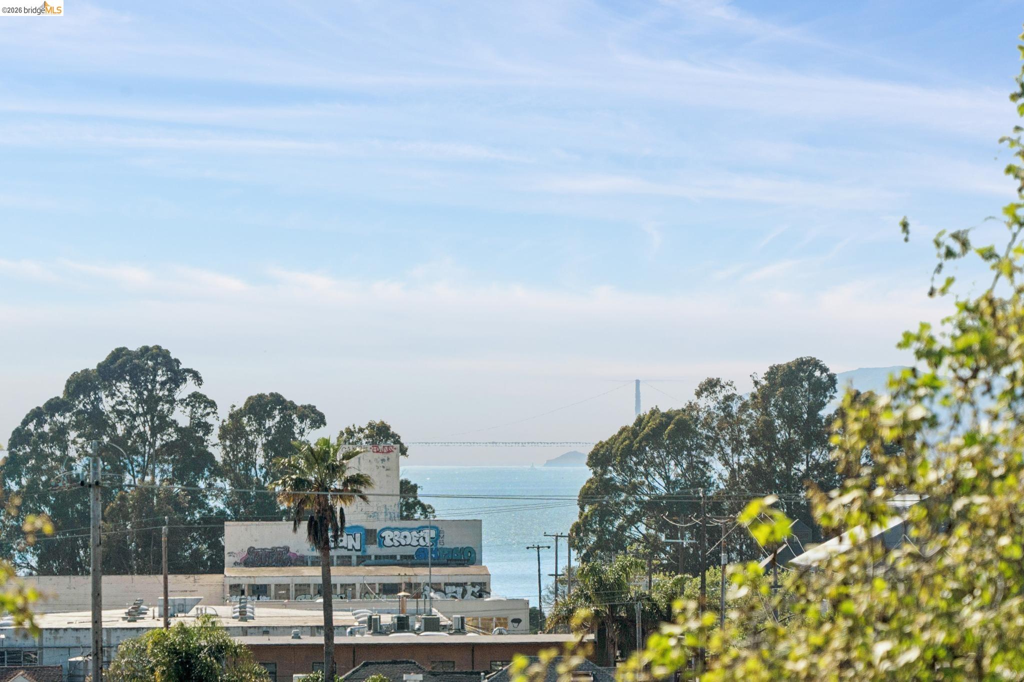 Photo #42: 41127708 Listing: Photo #42