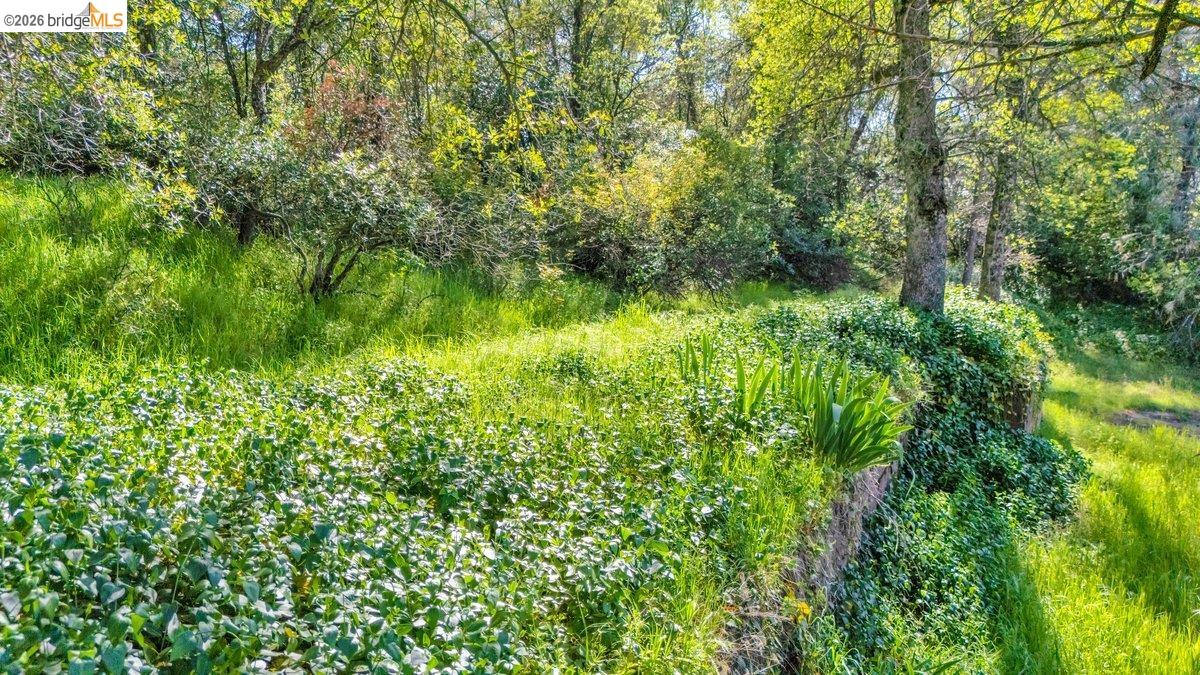 Detail Gallery Image 11 of 13 For 11965 Campo Seco Rd, Sonora,  CA 95370 - – Beds | – Baths