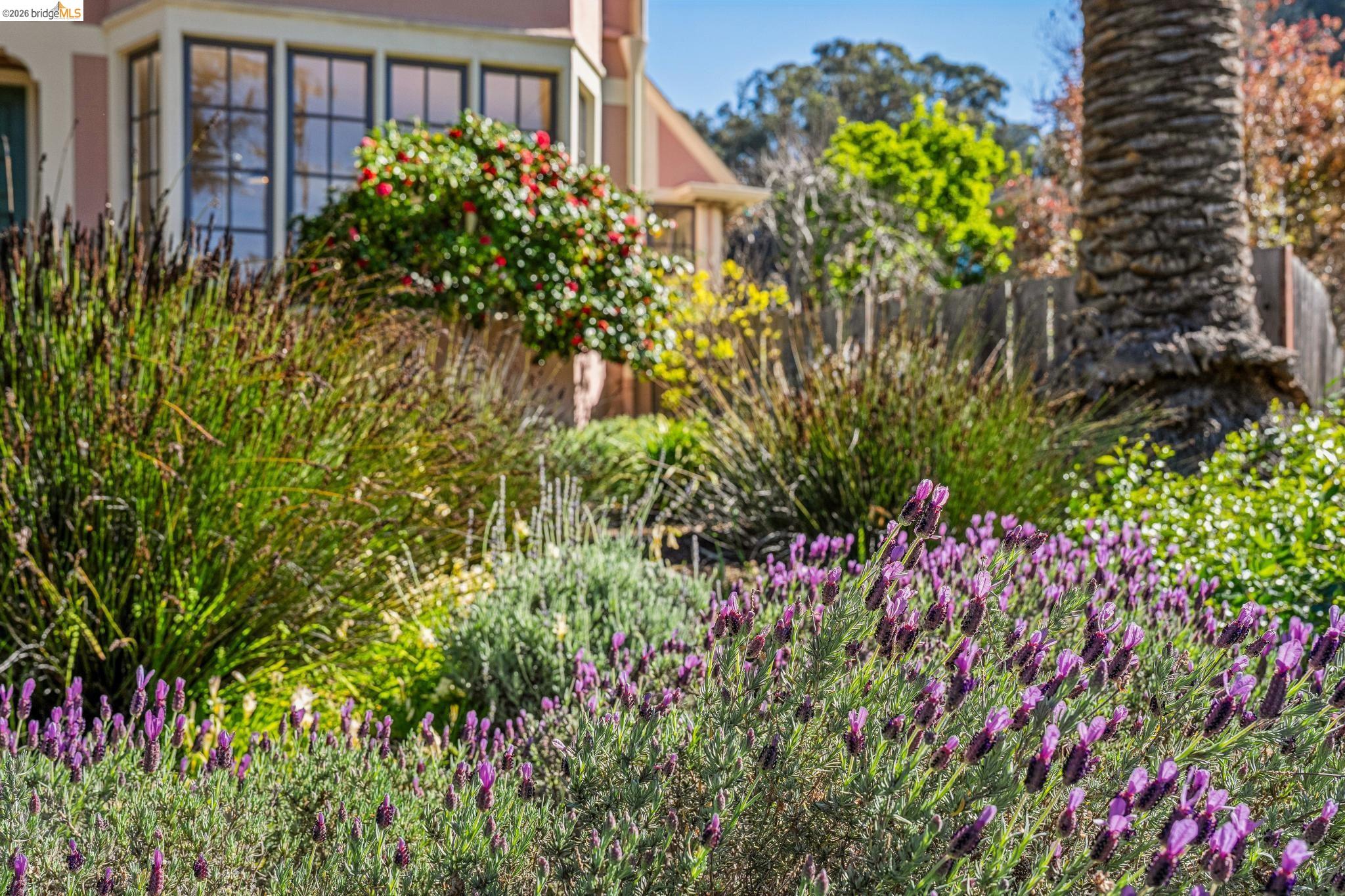 Detail Gallery Image 58 of 59 For 4201 Lakeshore Ave, Oakland,  CA 94610 - 4 Beds | 2/1 Baths